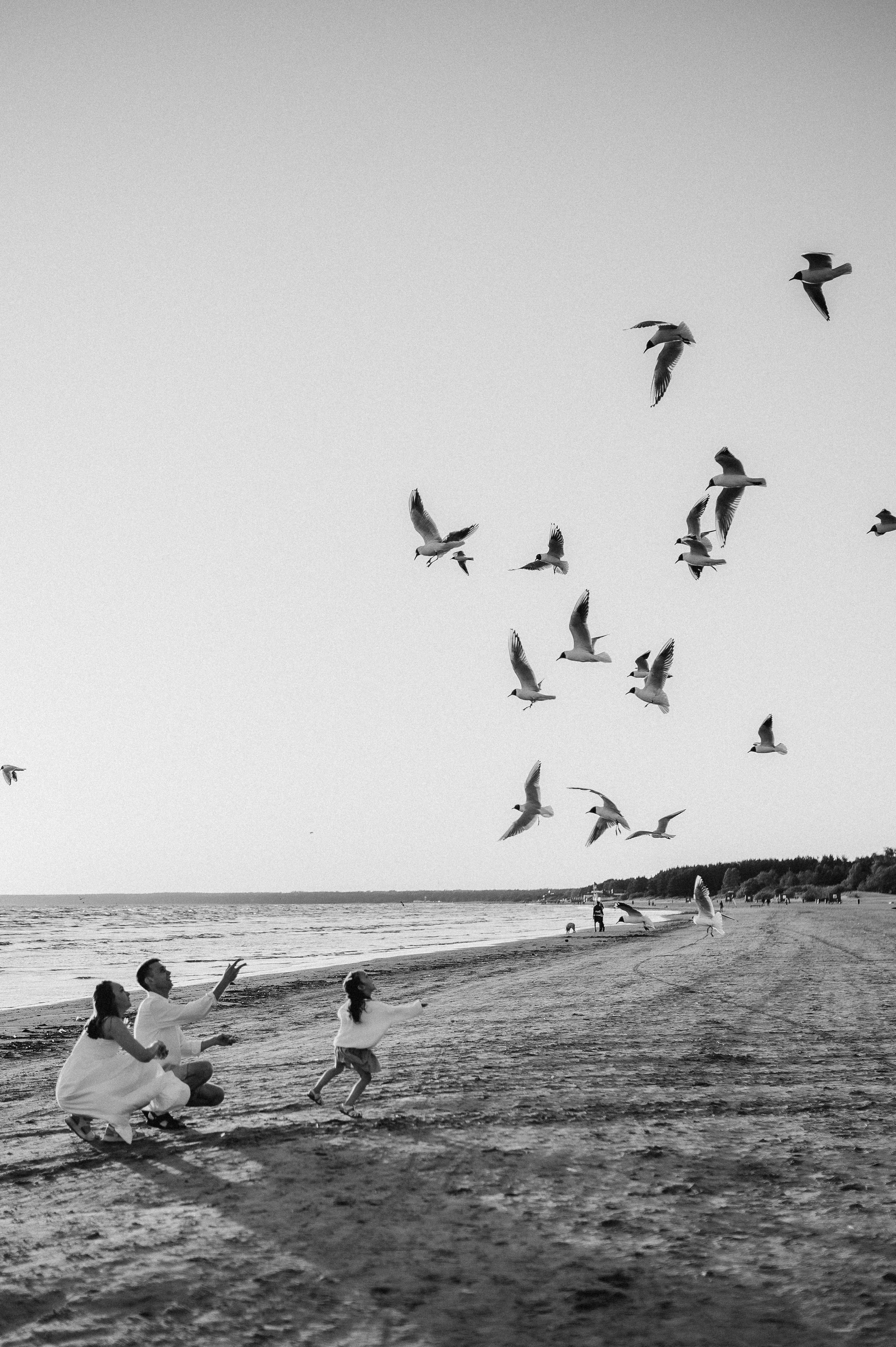 Семейная на заливе. Фотограф ПИТЕР СПБ Надежда Баранова