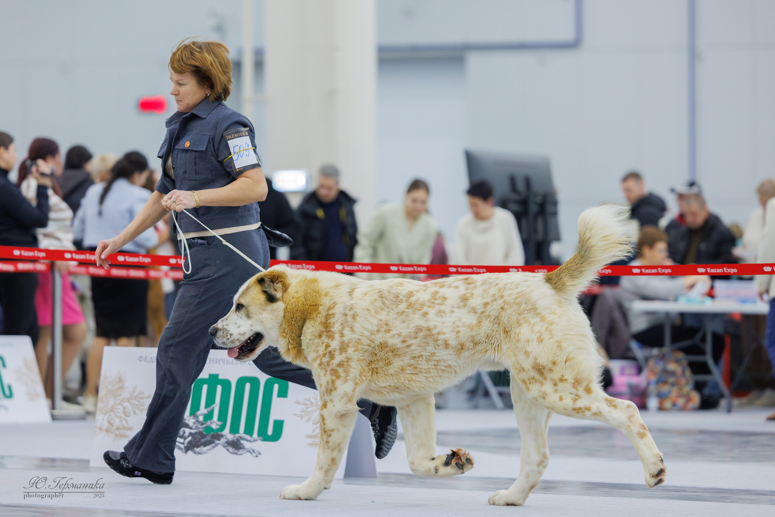 Сабанеевка Казань 25-26.01.2025. Фотограф-анималист Юлия Германика