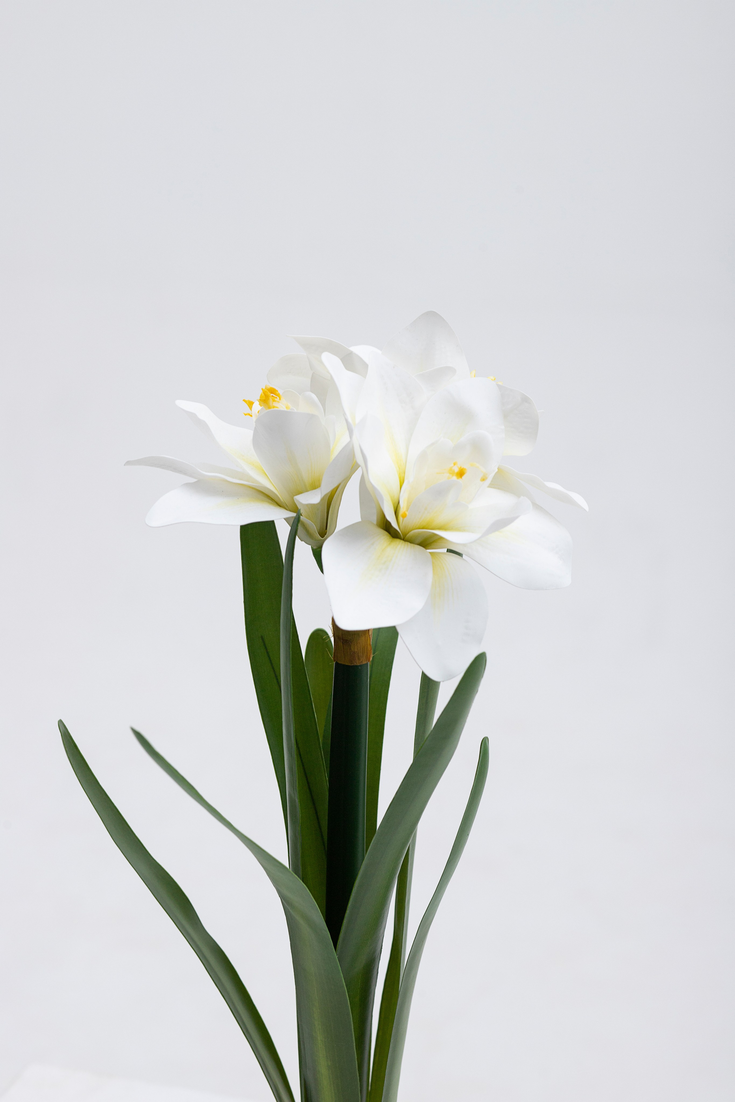 Маркетплейс. Фотограф Пушкино и Москва Анастасия Коган