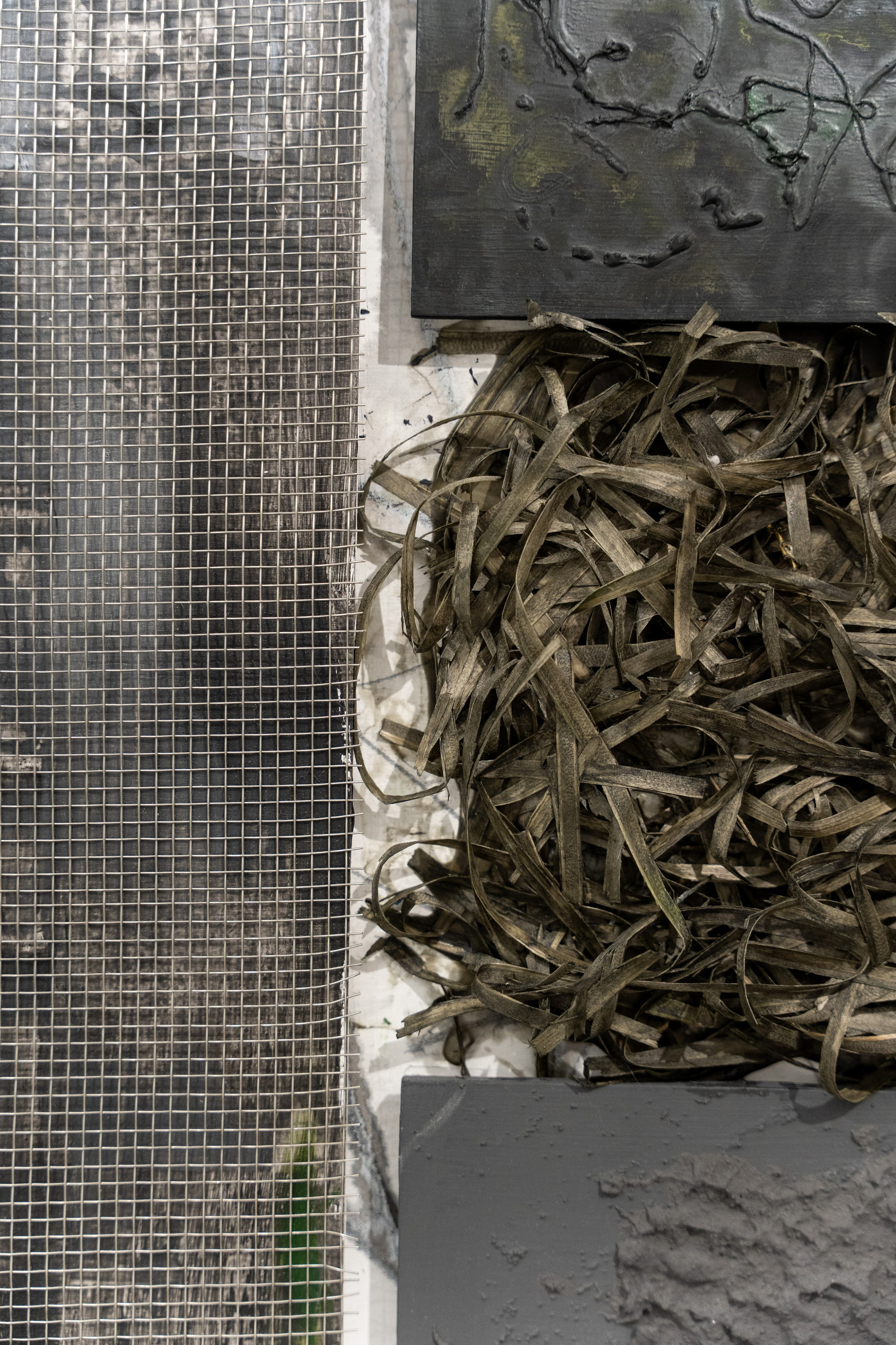 ЛЕС Авторский проект Юлии Якубович 04.11.2025. Портретный и репортажный фотограф в Москве Разуменко Роман