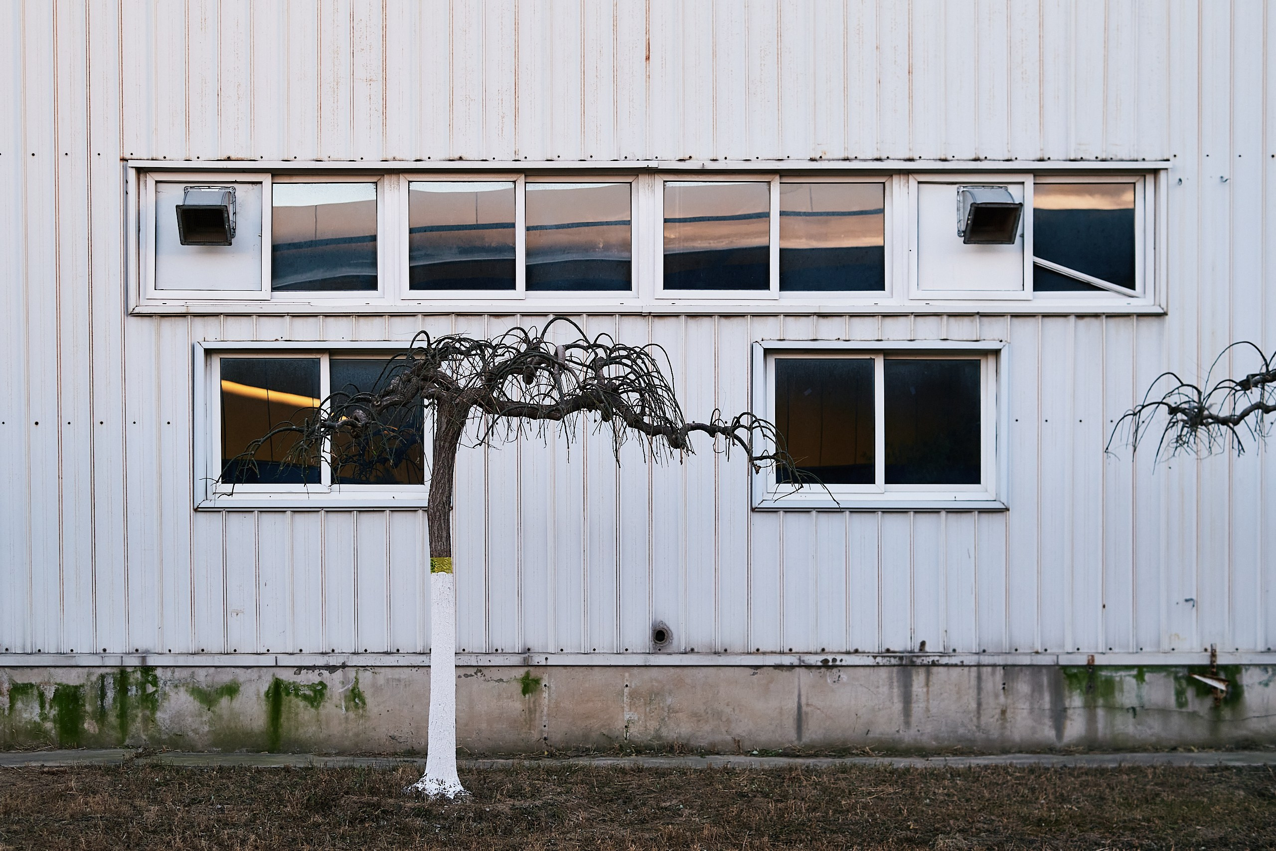 Архитекторы.РФ. Фотограф Артем Дербенев Москва