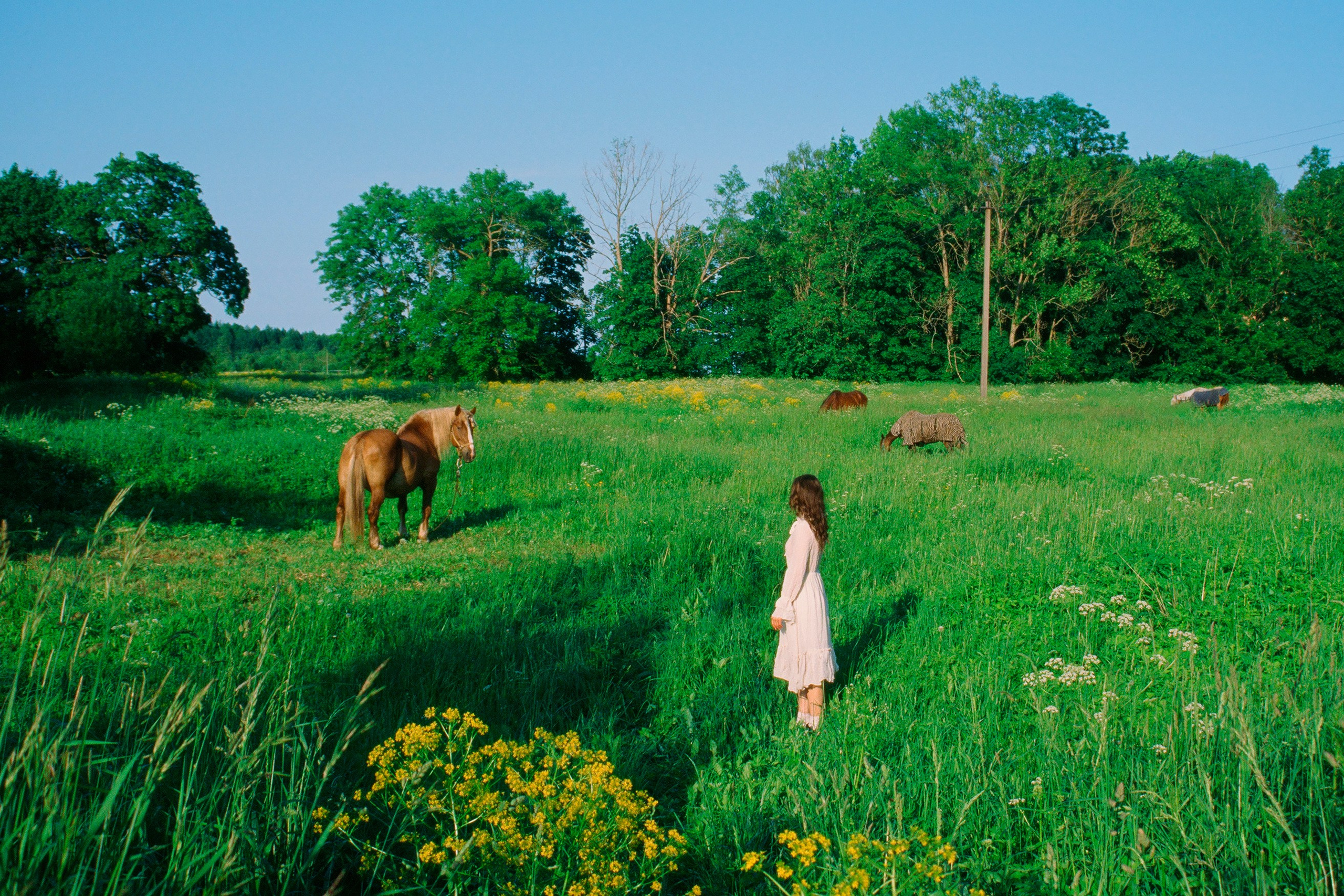 Photo Portfolio. Morskyakanulavmorya