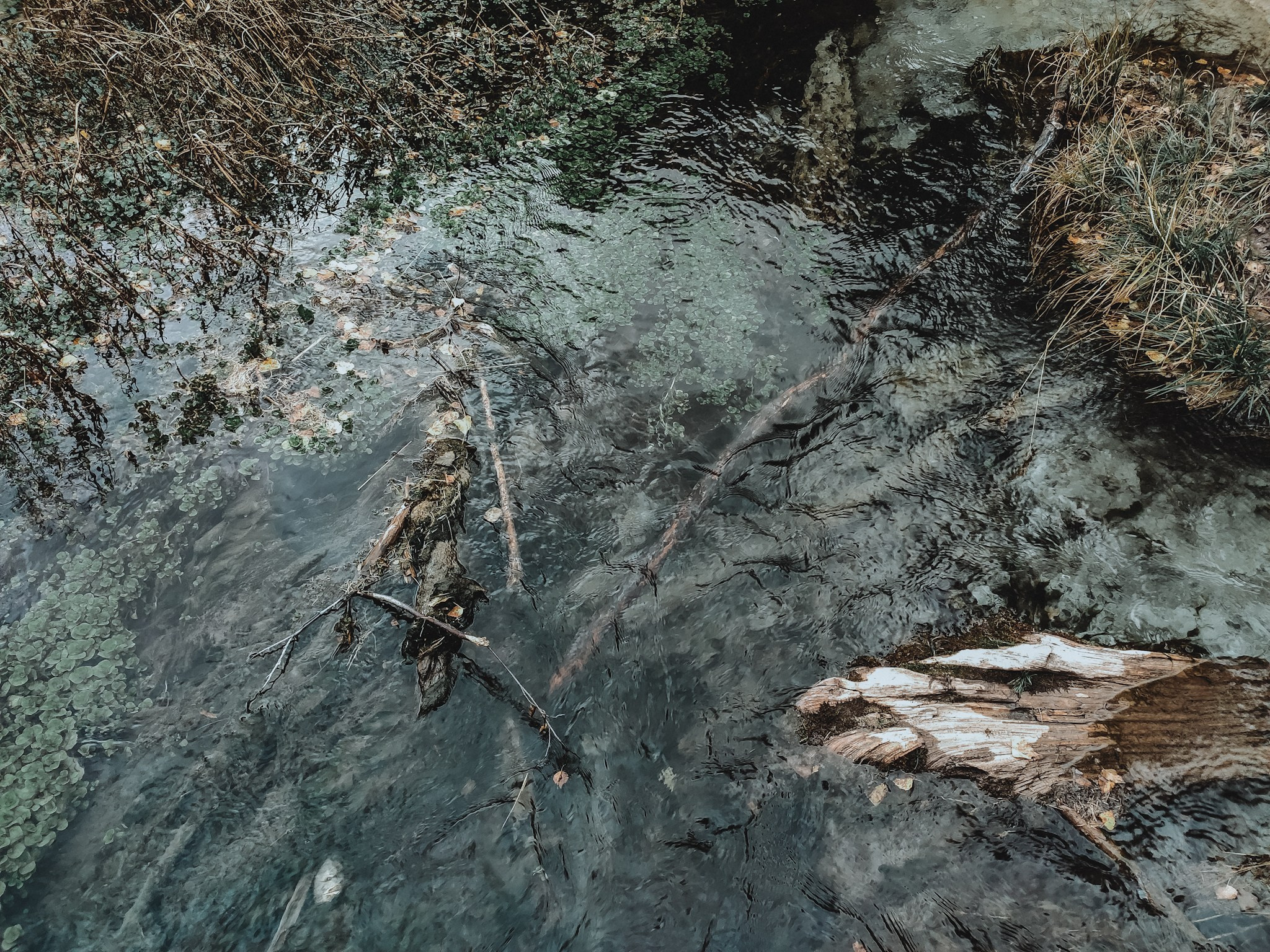 Алтай (мобилография). Фотограф в Москве, в Самаре Инна Мамонова