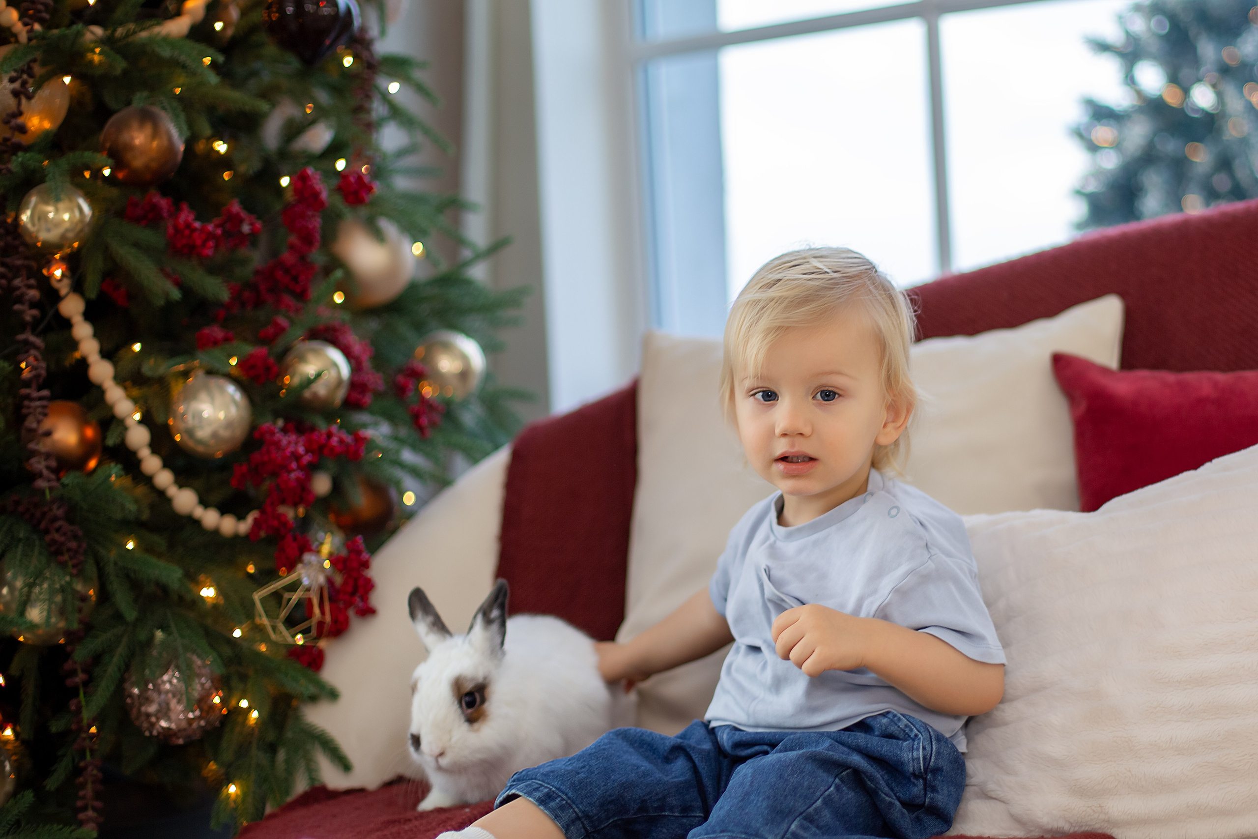 Новогодняя фотосессия. Фотограф Анастасия, СПб: живые семейные и женские фотосессии без позирования, наполненные эмоциями
