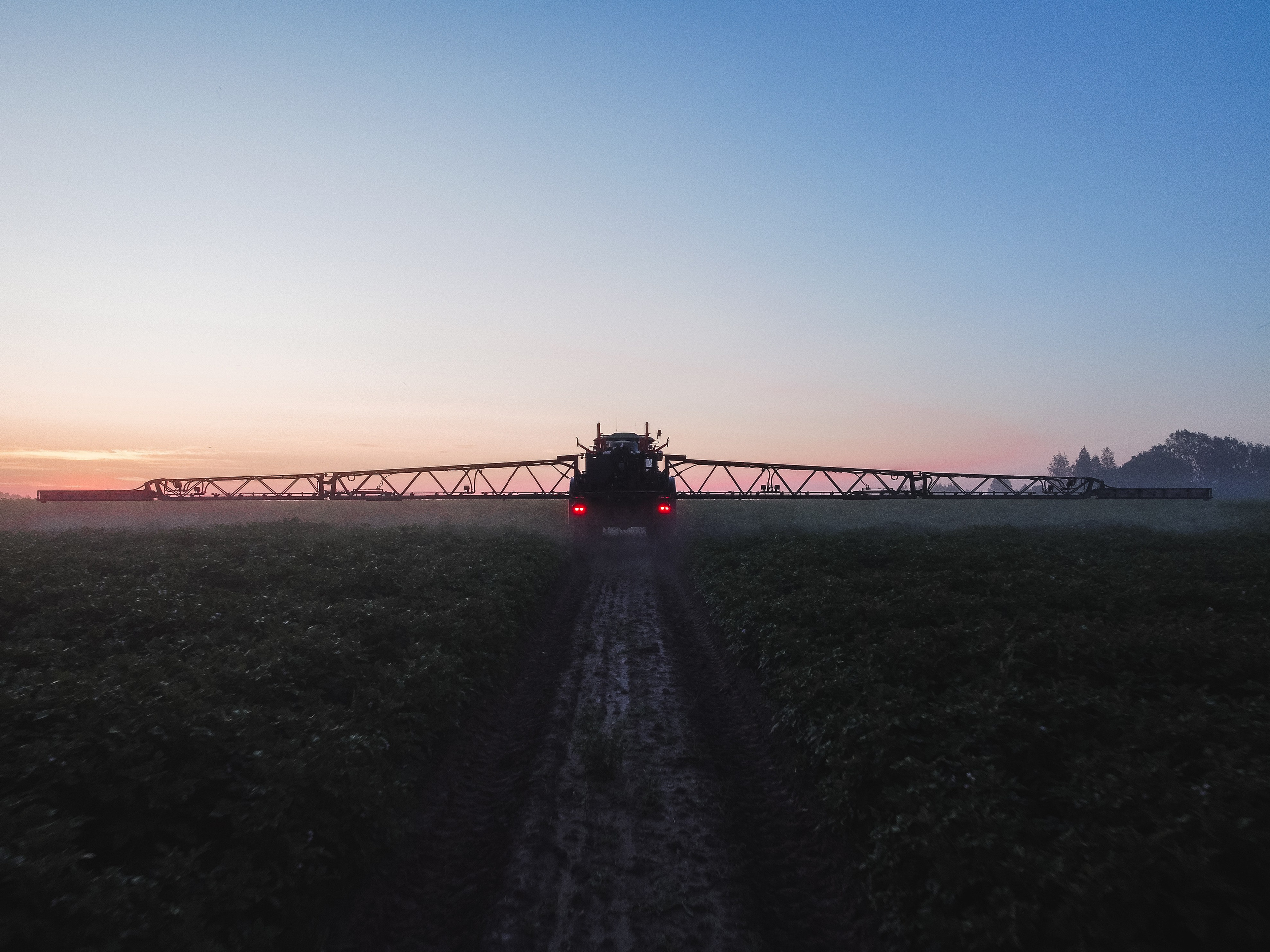 Удобрение картофеля при помощи трактора рано утром на рассвете