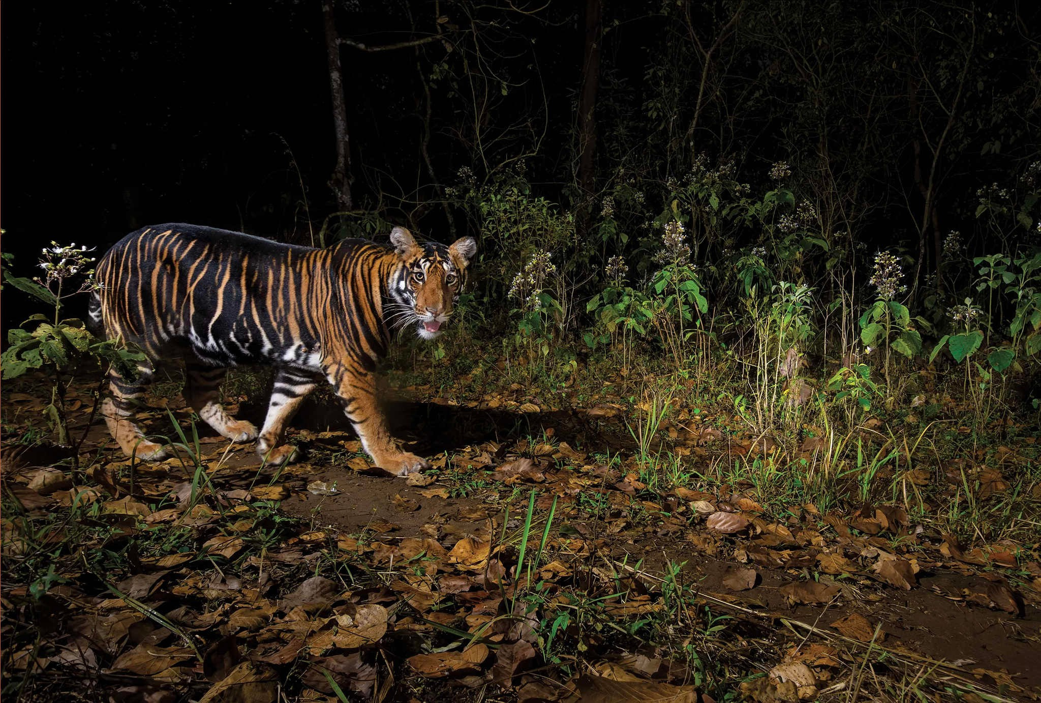 2024 год в объективе фотографов National Geographic. Фотограф Михаил Мордасов, Сочи. Мероприятия, портреты, спорт, репортаж
