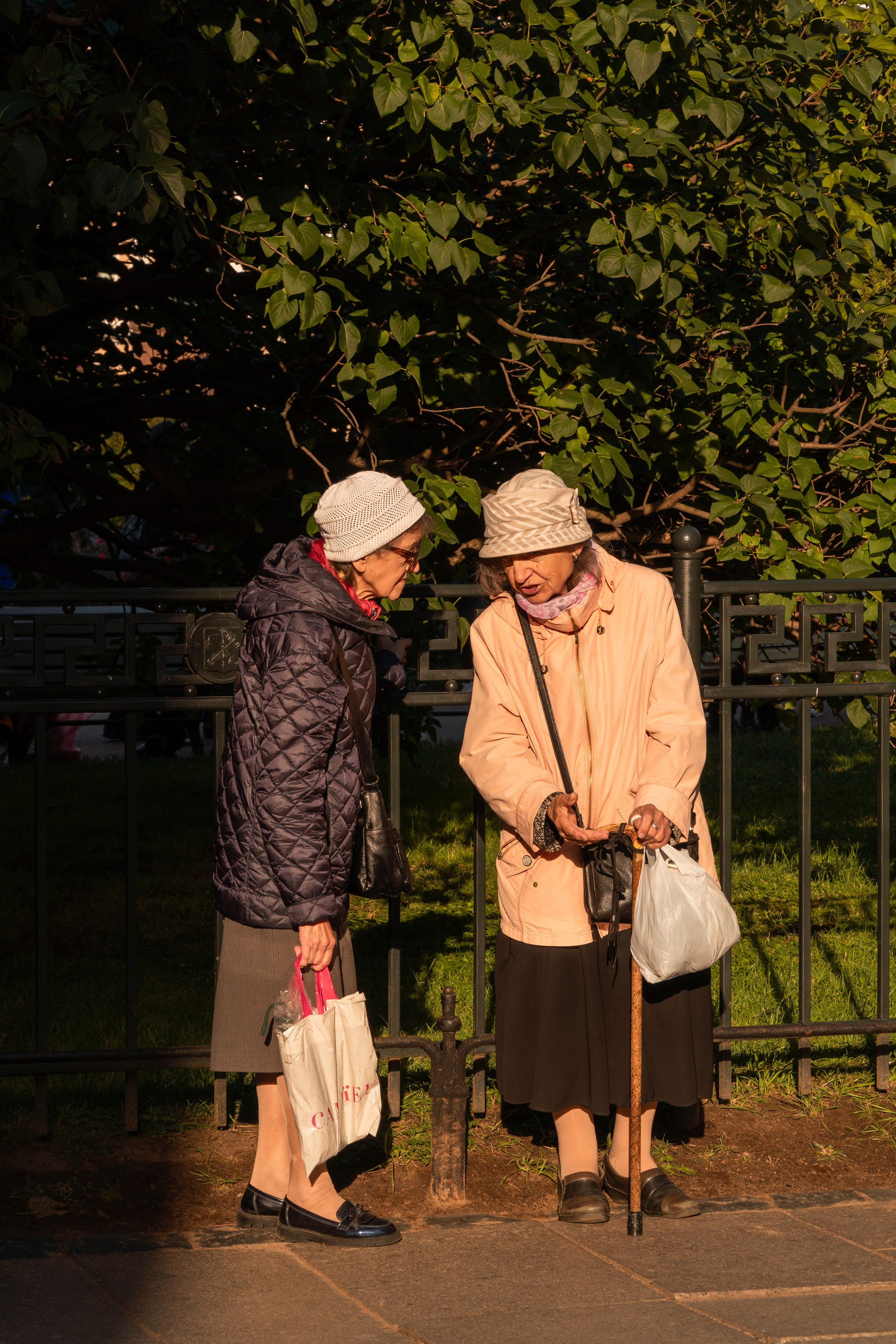 Благотворительный фестиваль «АЛЁША». Фотограф в Санкт-Петербурге Авдотья Благовещенская
