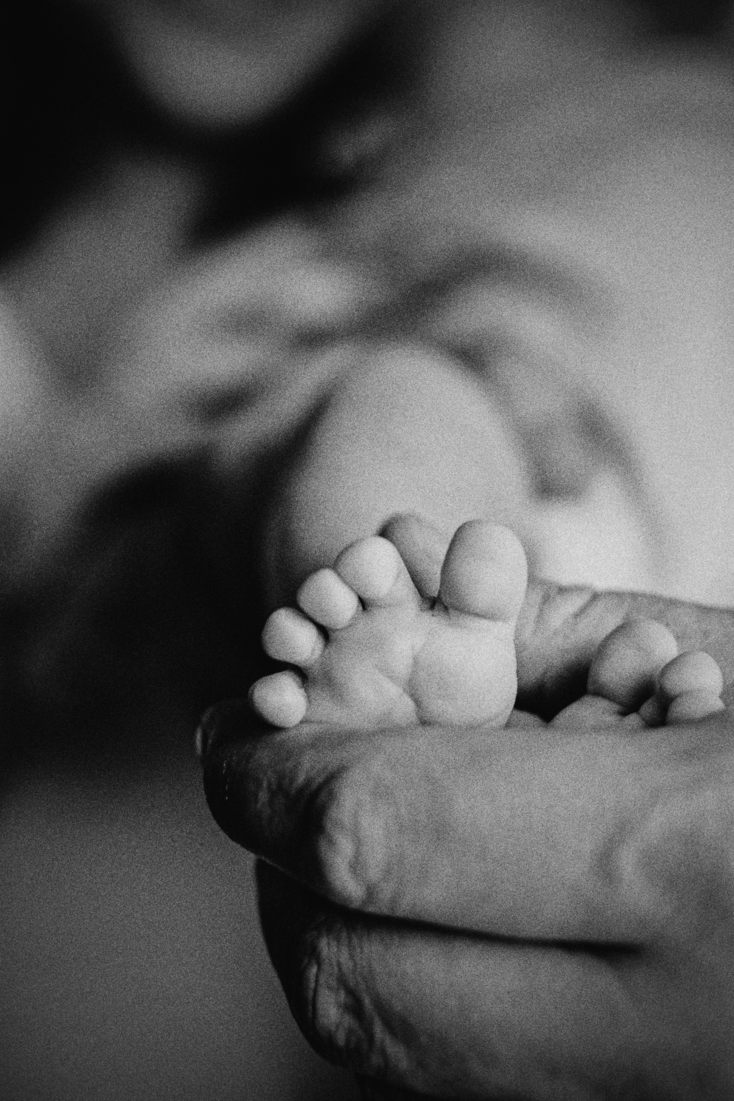 Альбом 3. Фотограф Катерина Мартьянова Санкт-Петербург