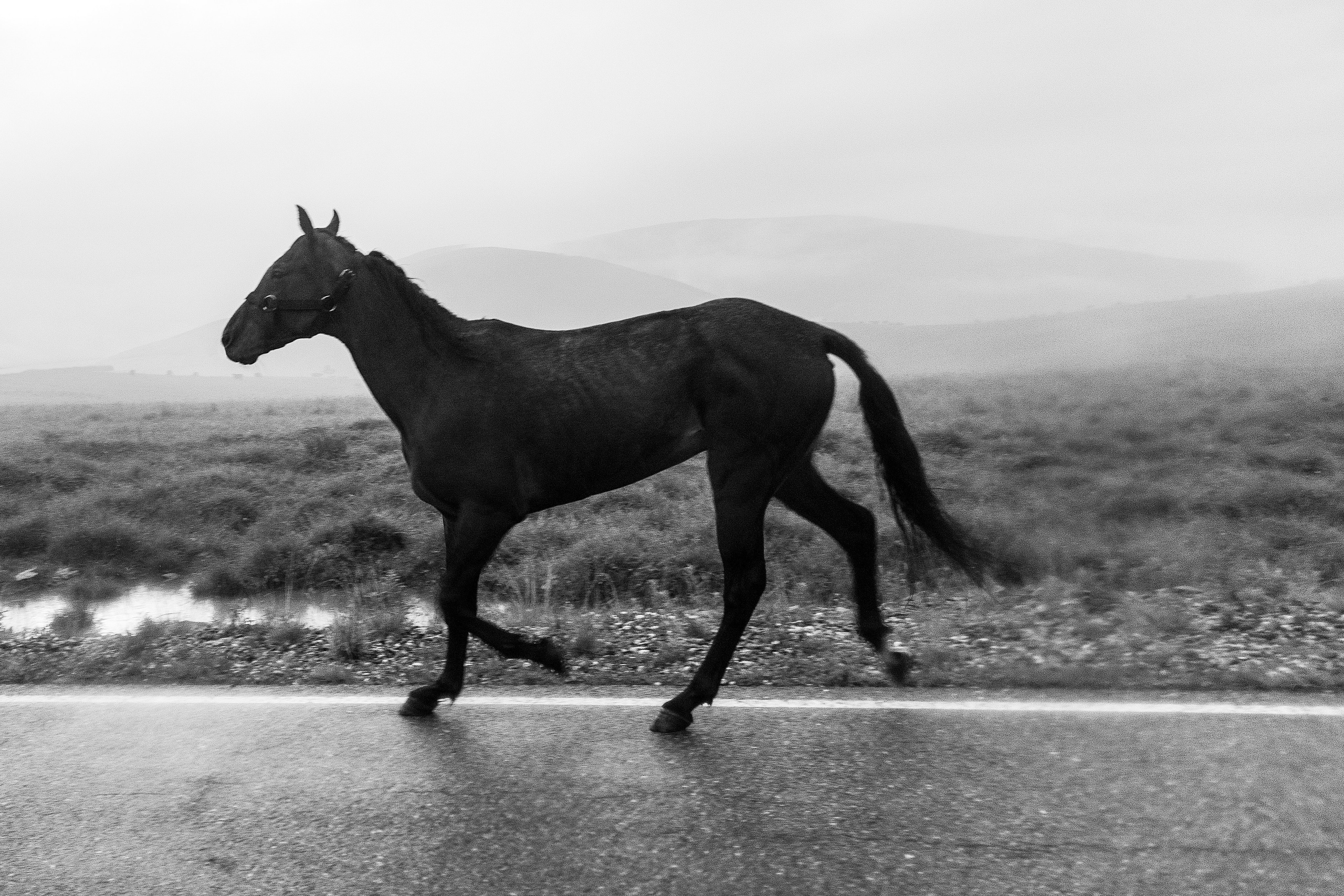 Дорога в небо. Свадебный фотограф. Краснодар, Сочи, Новороссийск. Вадим Мерье