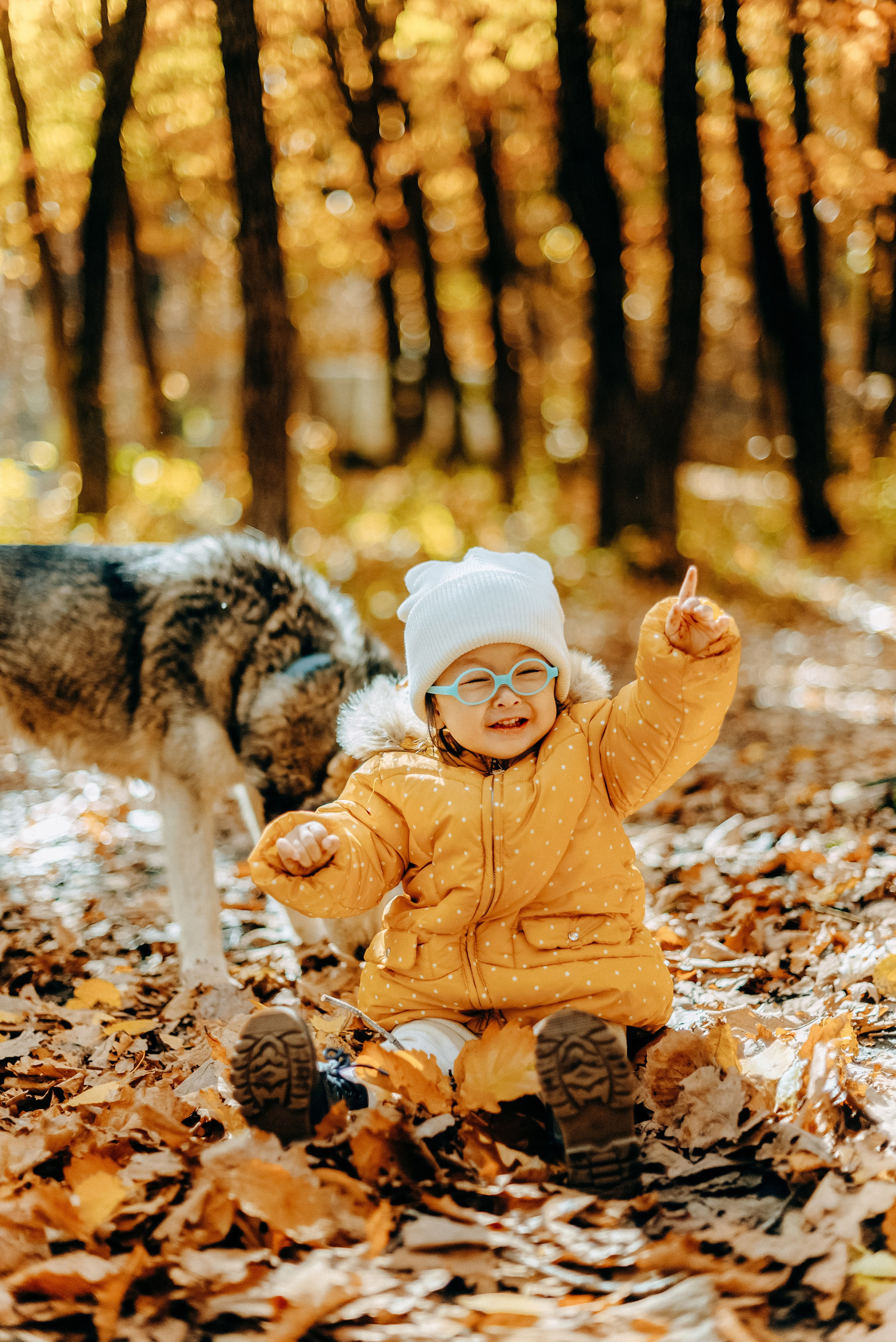 ТЕПЛАЯ ОСЕНЬ. Шашкова Вероника / Свадебный и семейный фотограф Москва и Ярославль