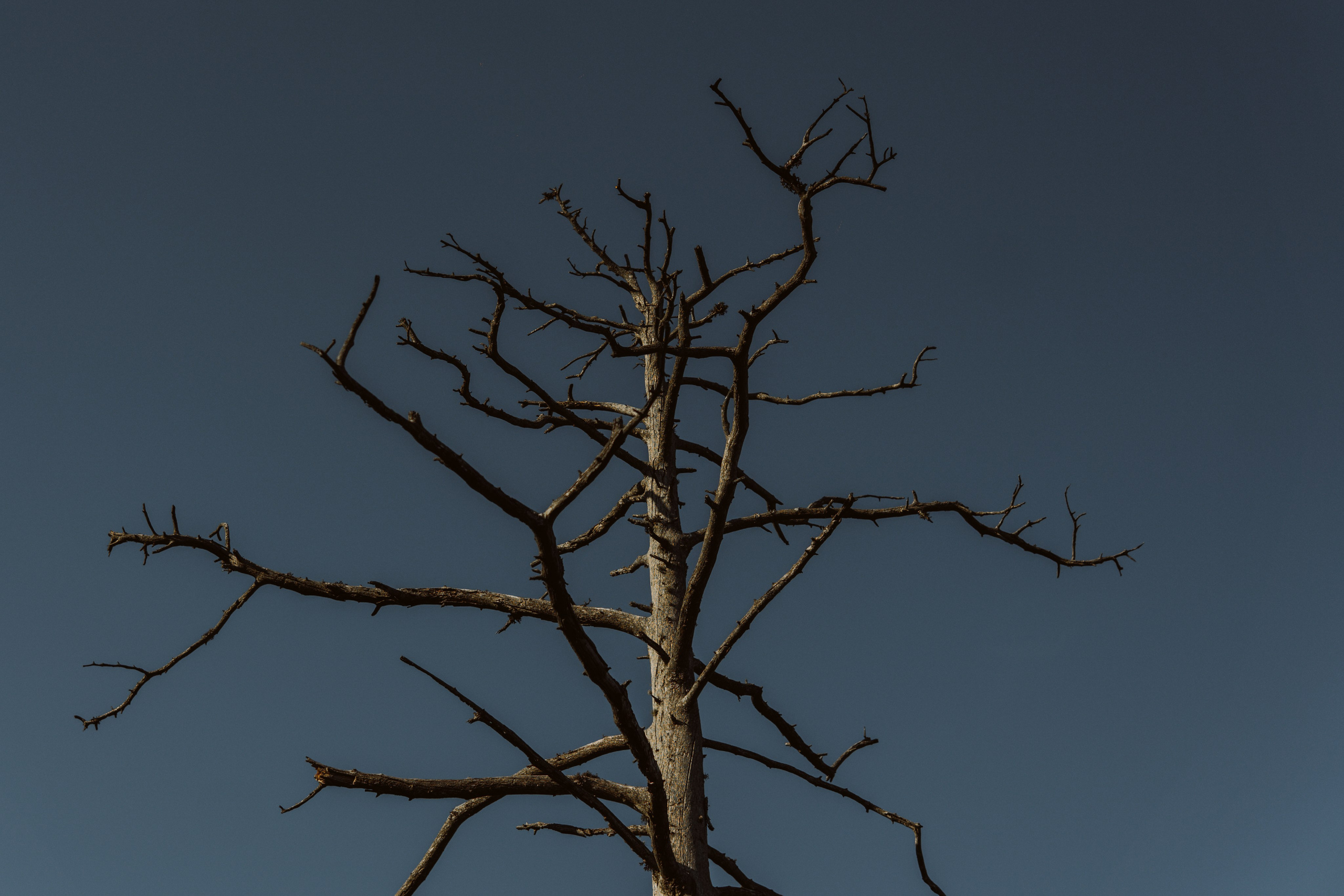 EXHIBITION. Репортажный и интерьерный фотограф, фотохудожник