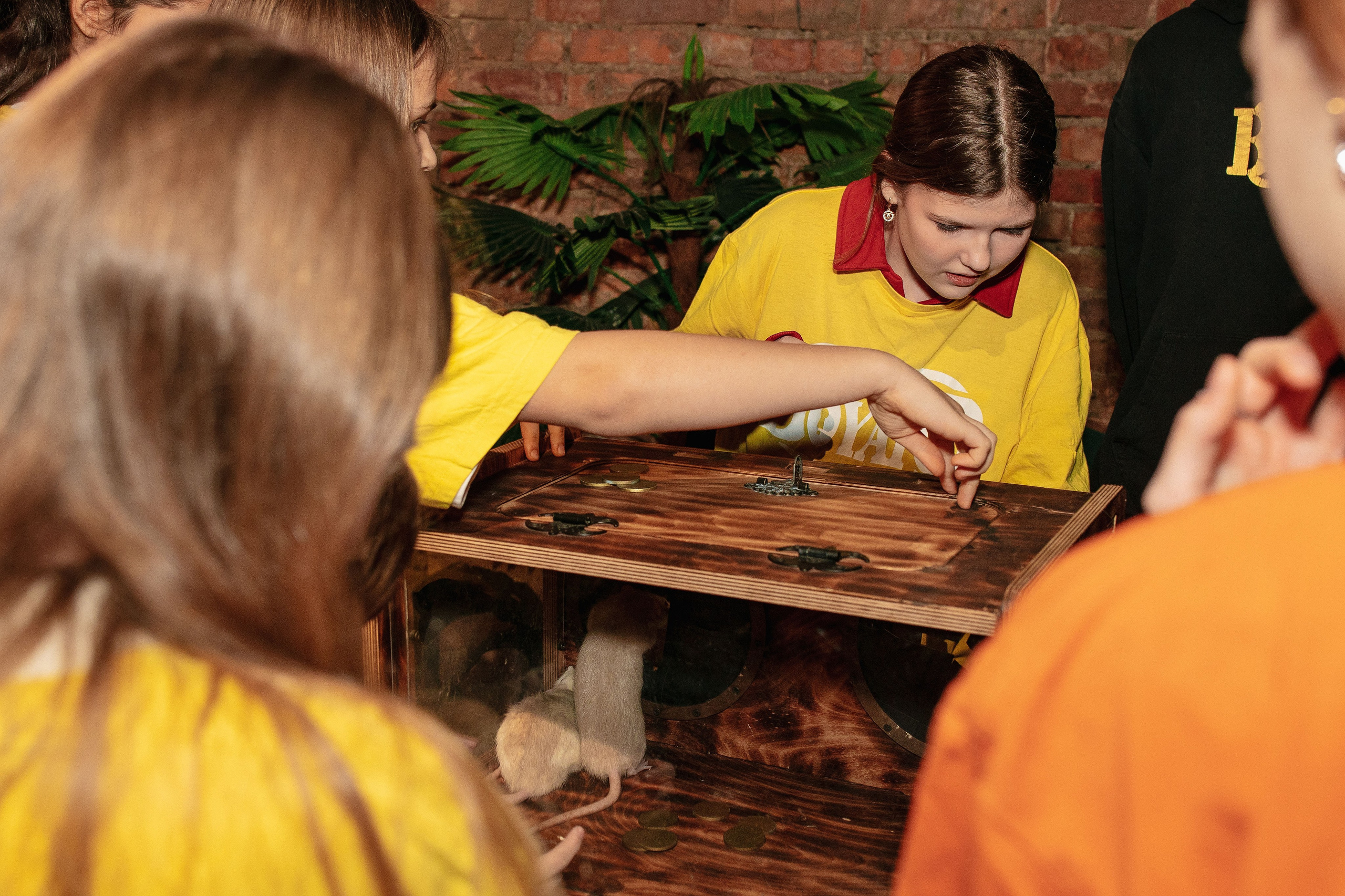 Квест-шоу в Форт Боярд с классом. Фотограф в Красноярске по выгодной цене