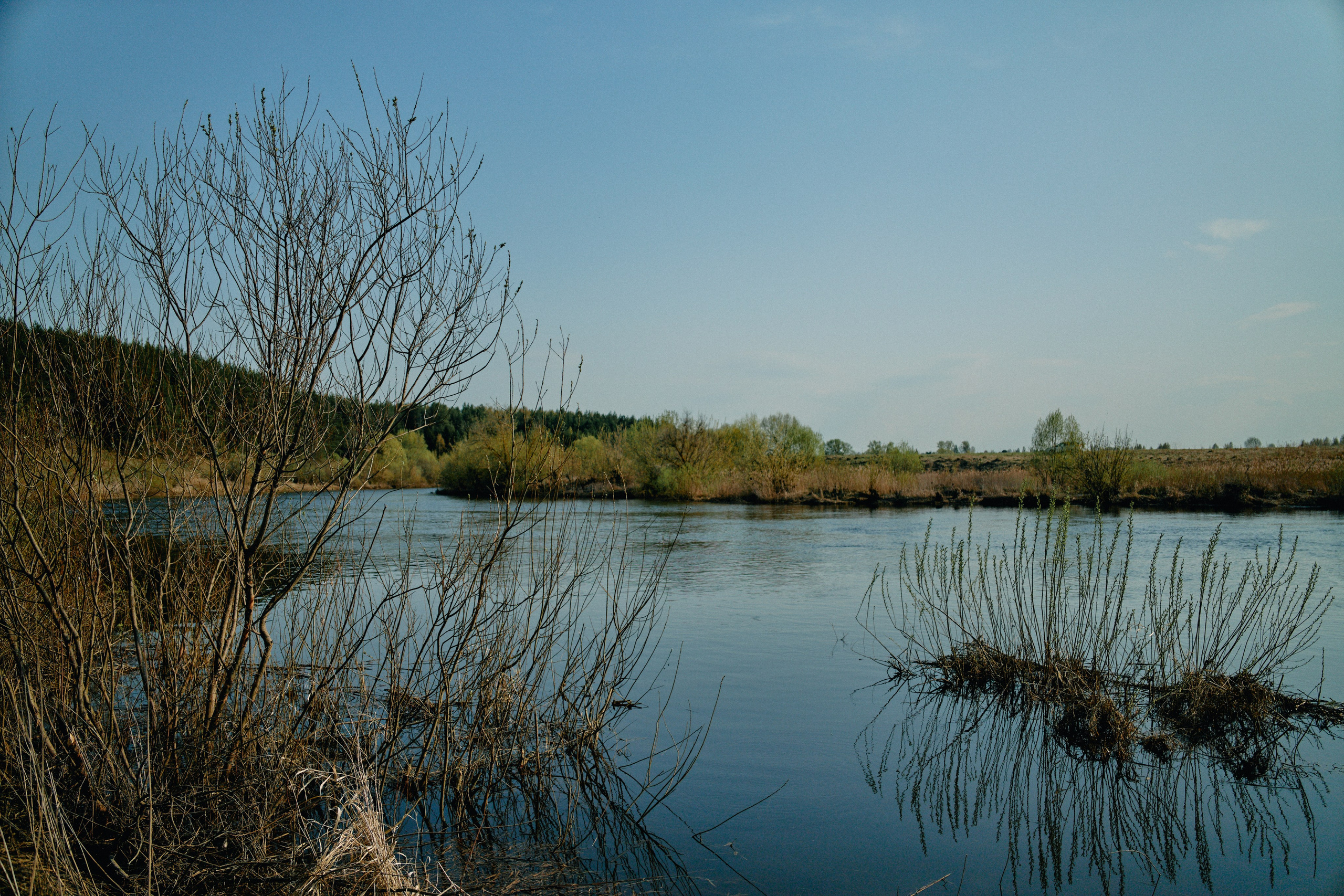 Бутик-отель Поле летом. Профессиональный Фотограф во Владимире, в Москве и в Суздале — Полина Романычева