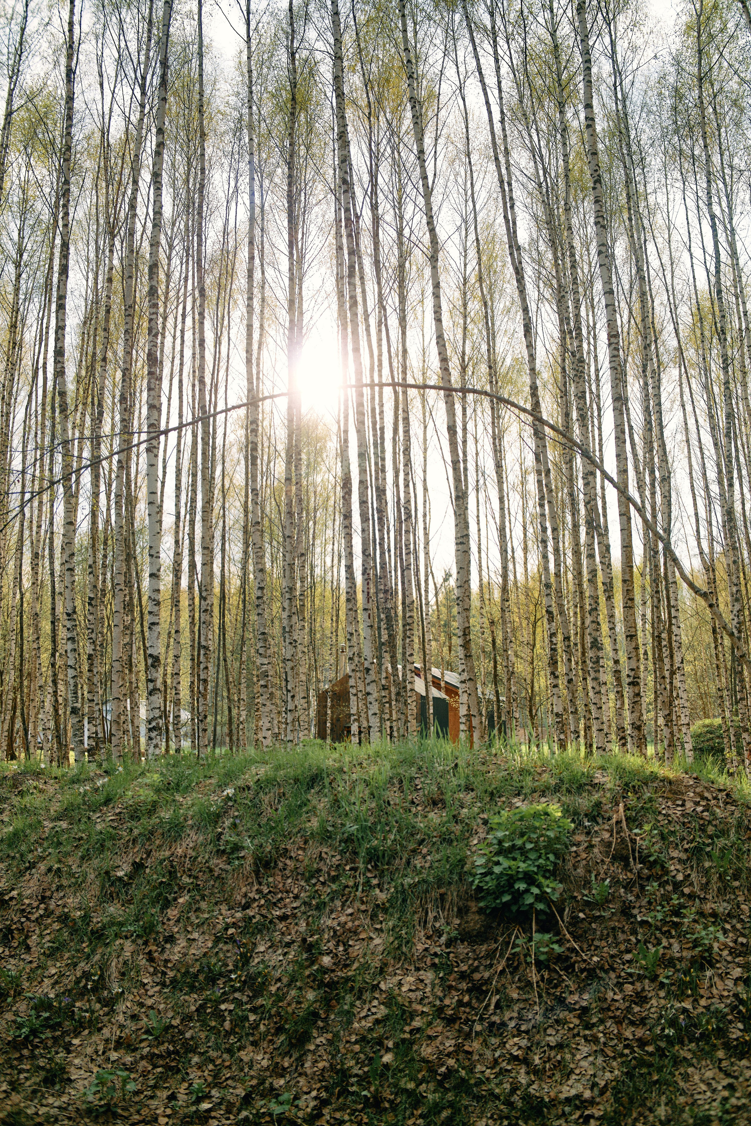 Бутик-отель Поле летом. Профессиональный Фотограф во Владимире, в Москве и в Суздале — Полина Романычева