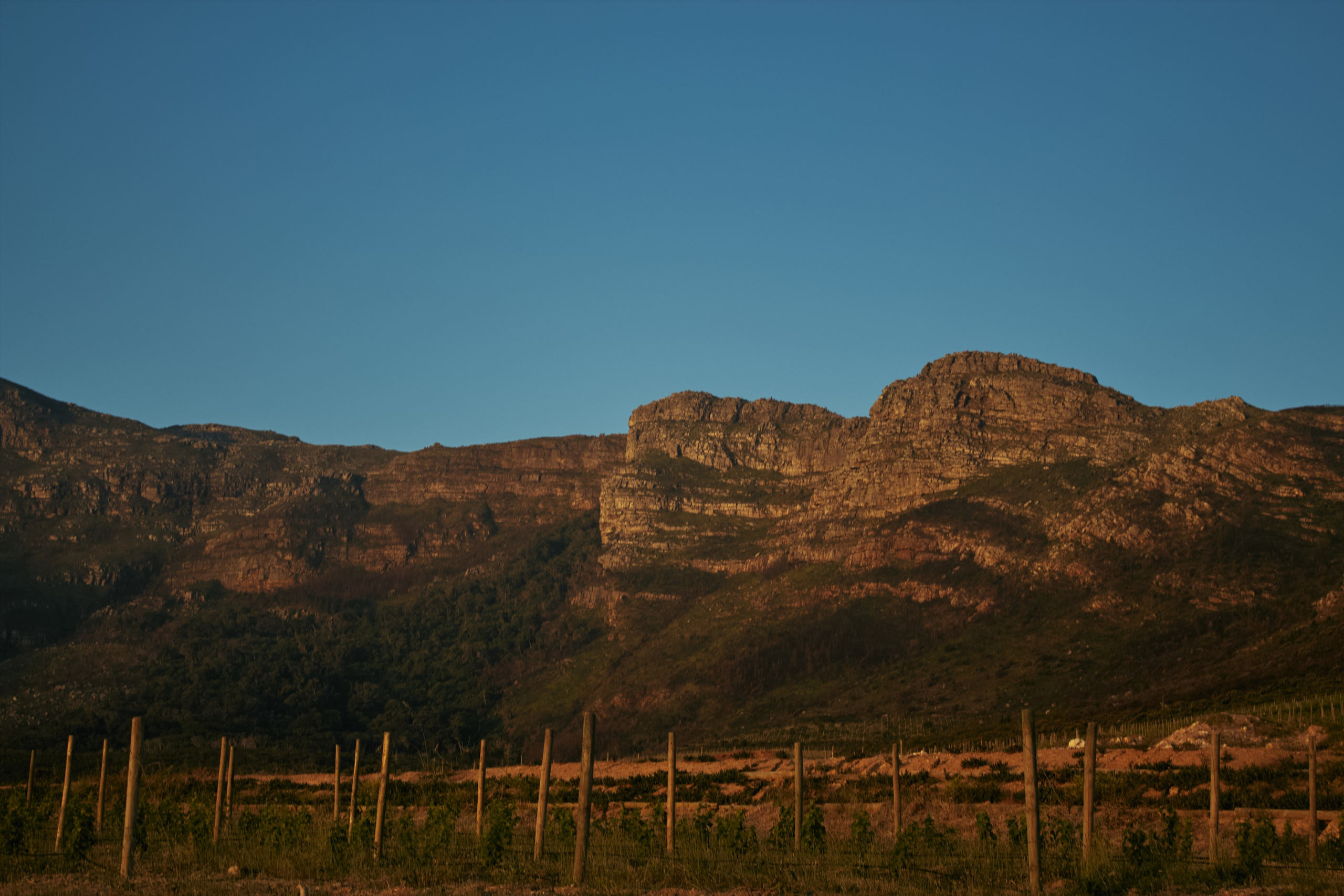 ЮАР. Профессиональный Фотограф во Владимире, в Москве и в Суздале — Полина Романычева
