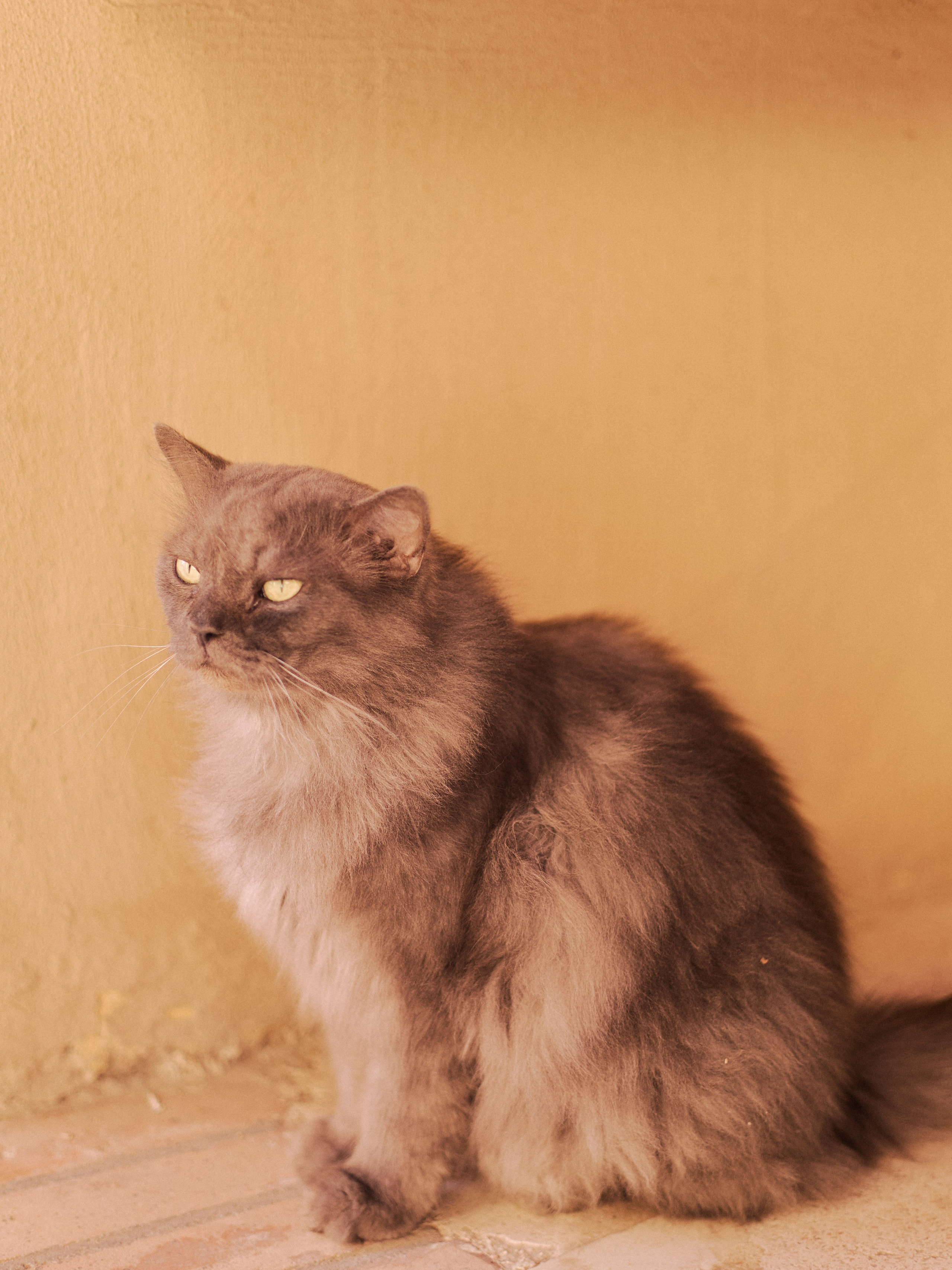 Другое 3. Jorgis Talè — photographer, kind person, teacher of arts and other mag