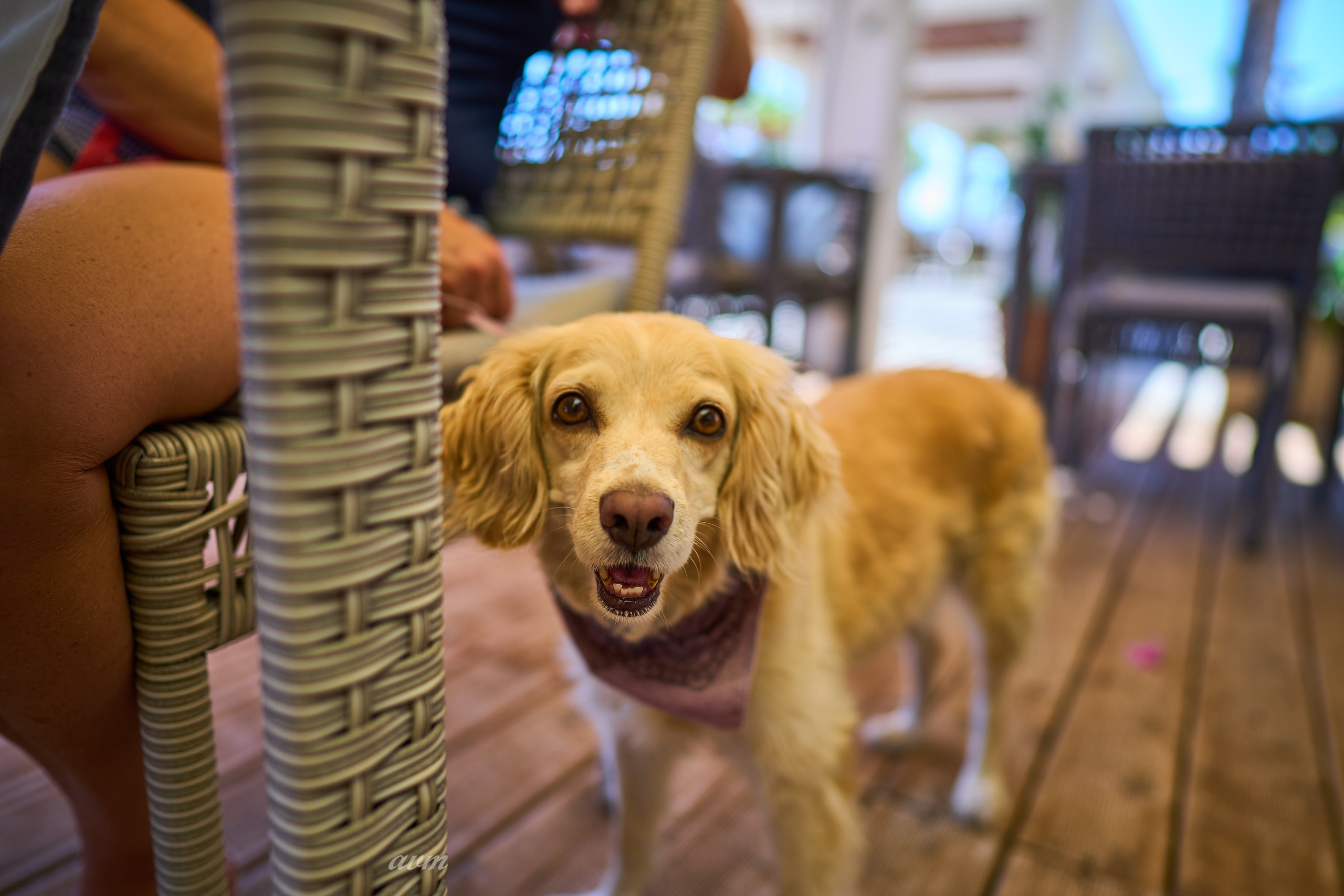 Олюдениз — Каш — Памуккале -Бабадаг (1800 м)Турция 2022. Фотограф Михеев Андрей