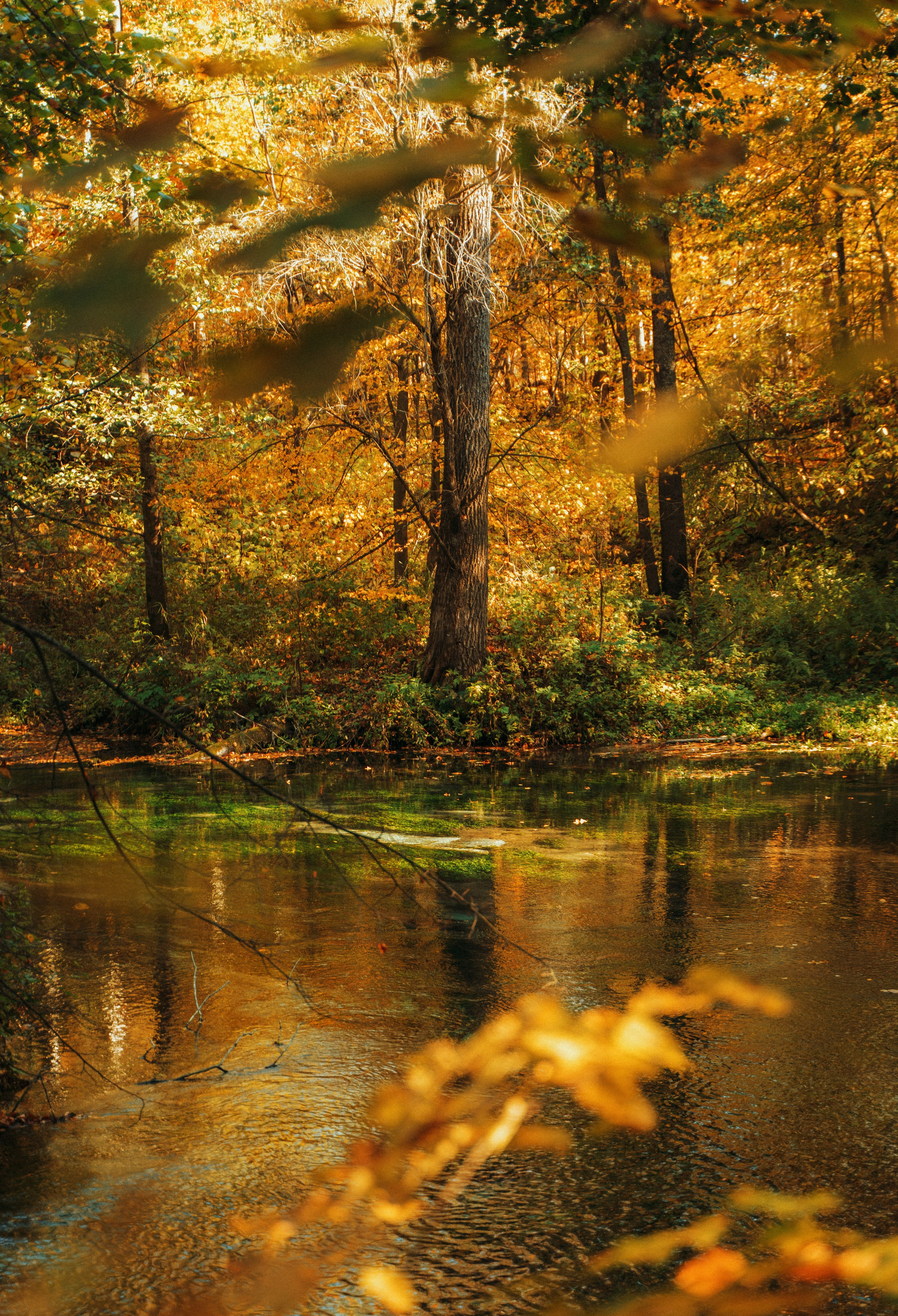 Good Friends Trip / команда локальных путешествий. Саша Копылов, фотограф в Казани