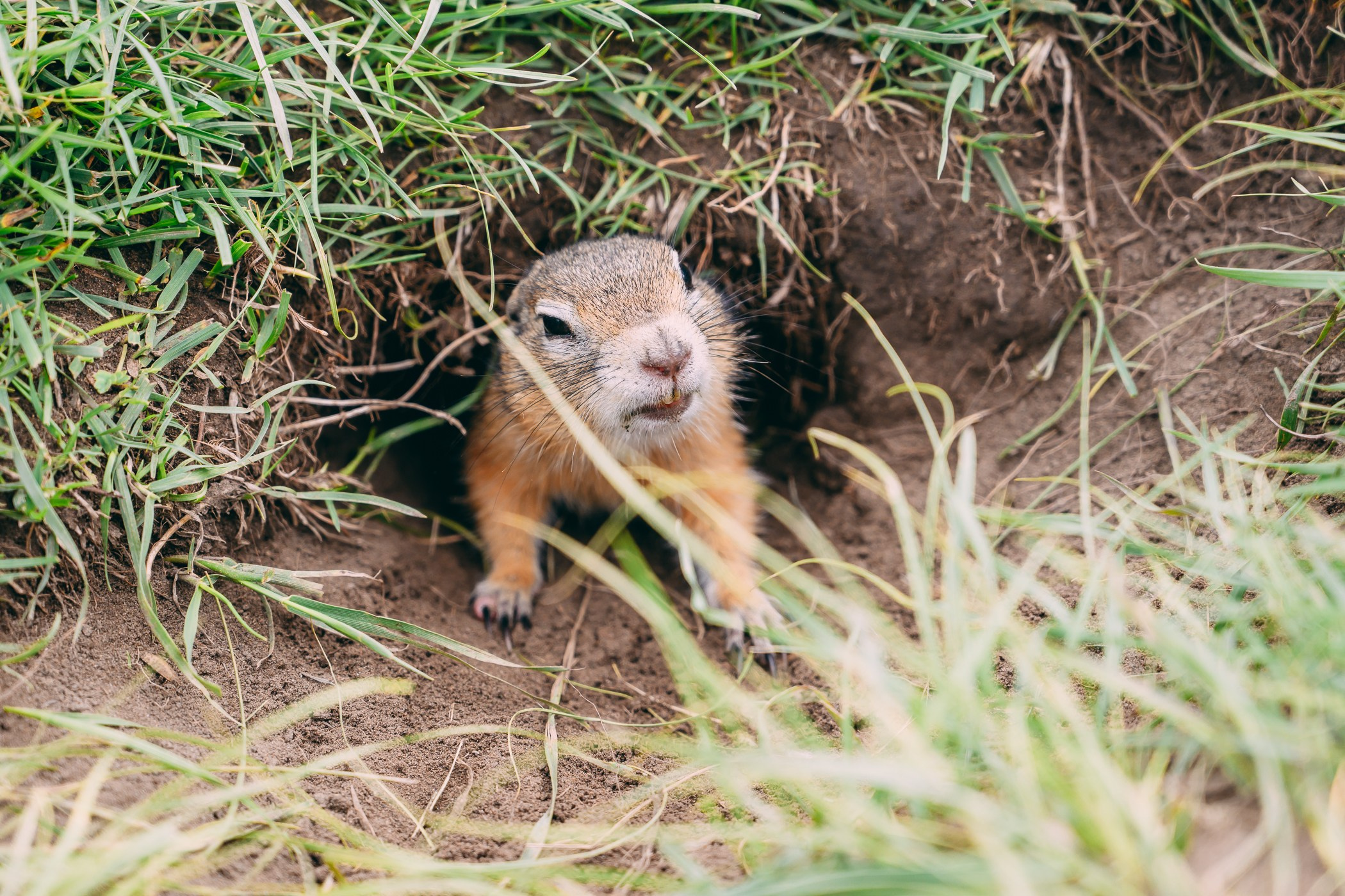 VK FEST 2024. 📸Портретный и репортажный фотограф | Красноярск | Поливода Дмитрий📸