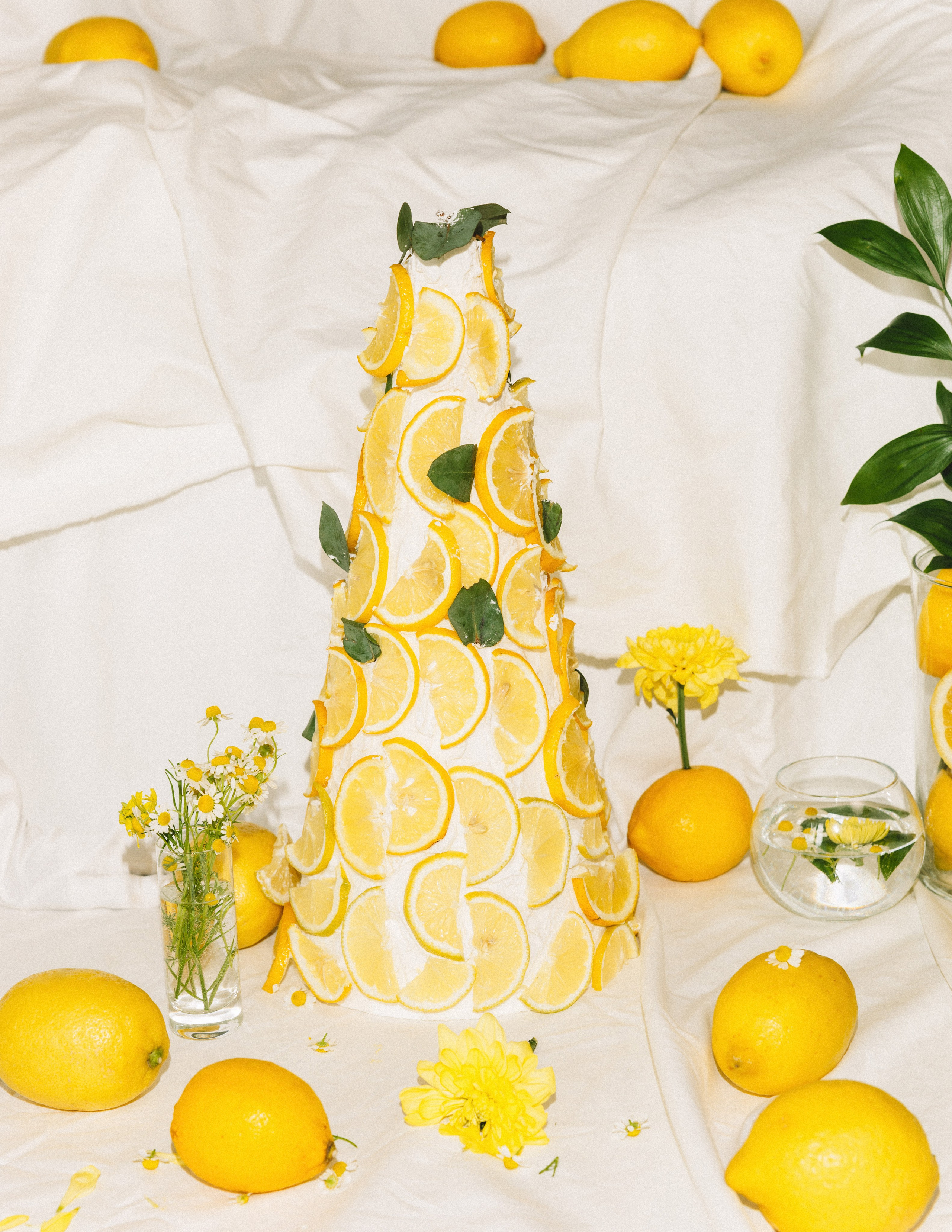 Фотограф Краснодар | Москва | Санкт — Петербург Куценко Диана