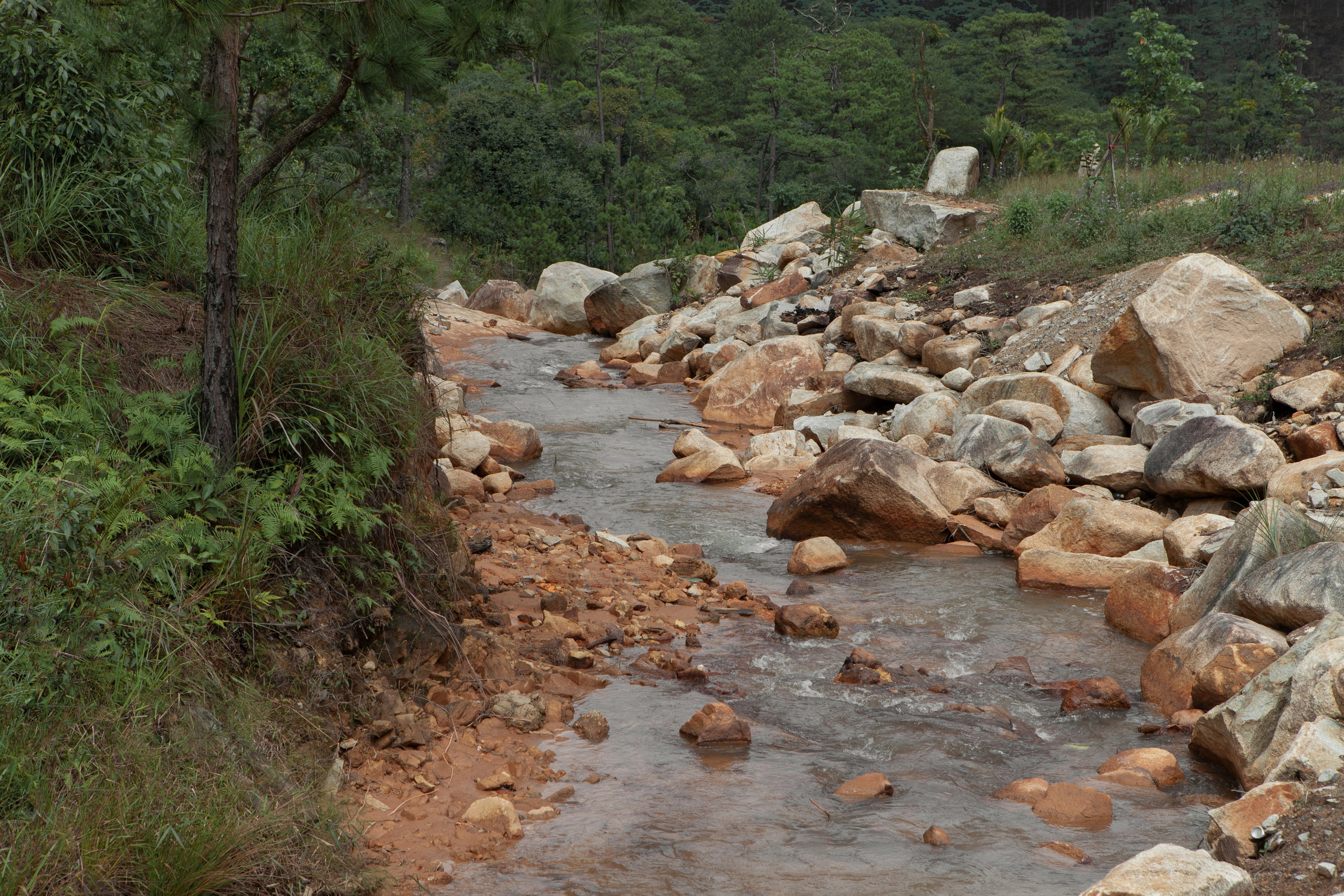 Вьетнам. Vinpearl Long Beach. Мой фотомир