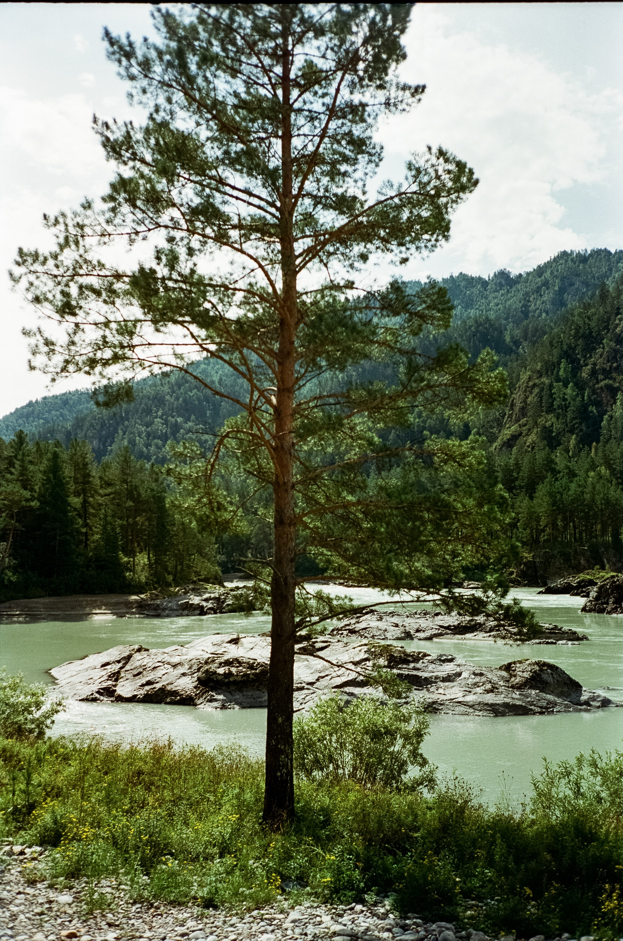 Кедровый остров, Катунь и скалы. Фотограф-документалист Мария Осокина
