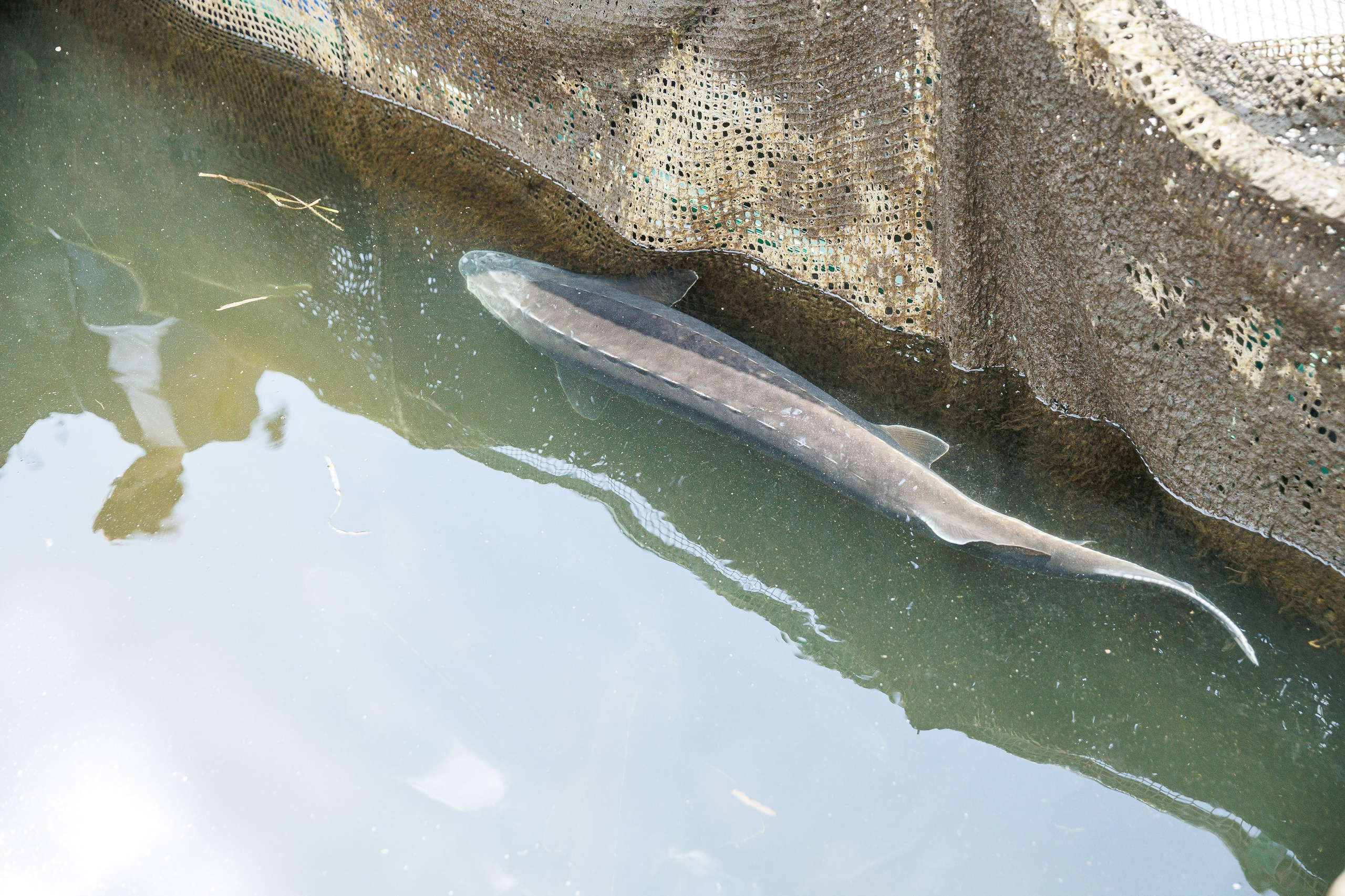 День 2. Конференция. Экскурсия на предприятия + галаужин. Фотограф Шейдаев Эмин г. Волгоград