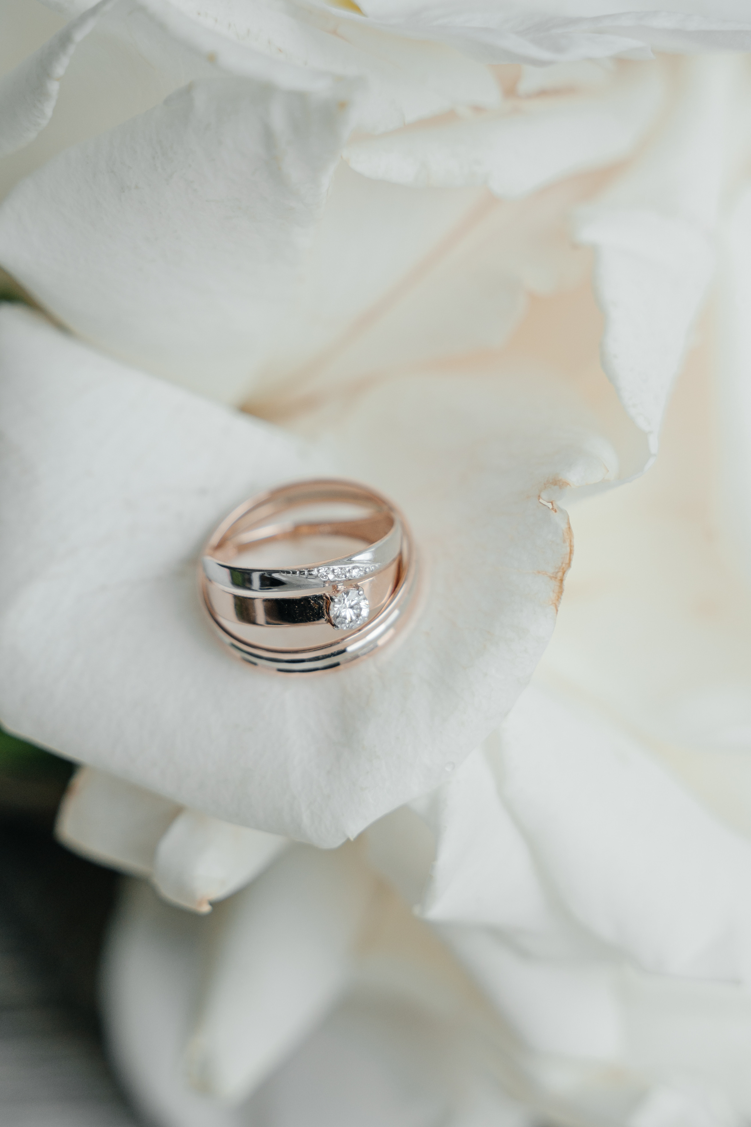 Галина & Рамир. Свадебный и семейный фотограф Тюмень Екатеринбург Москвина Алёна