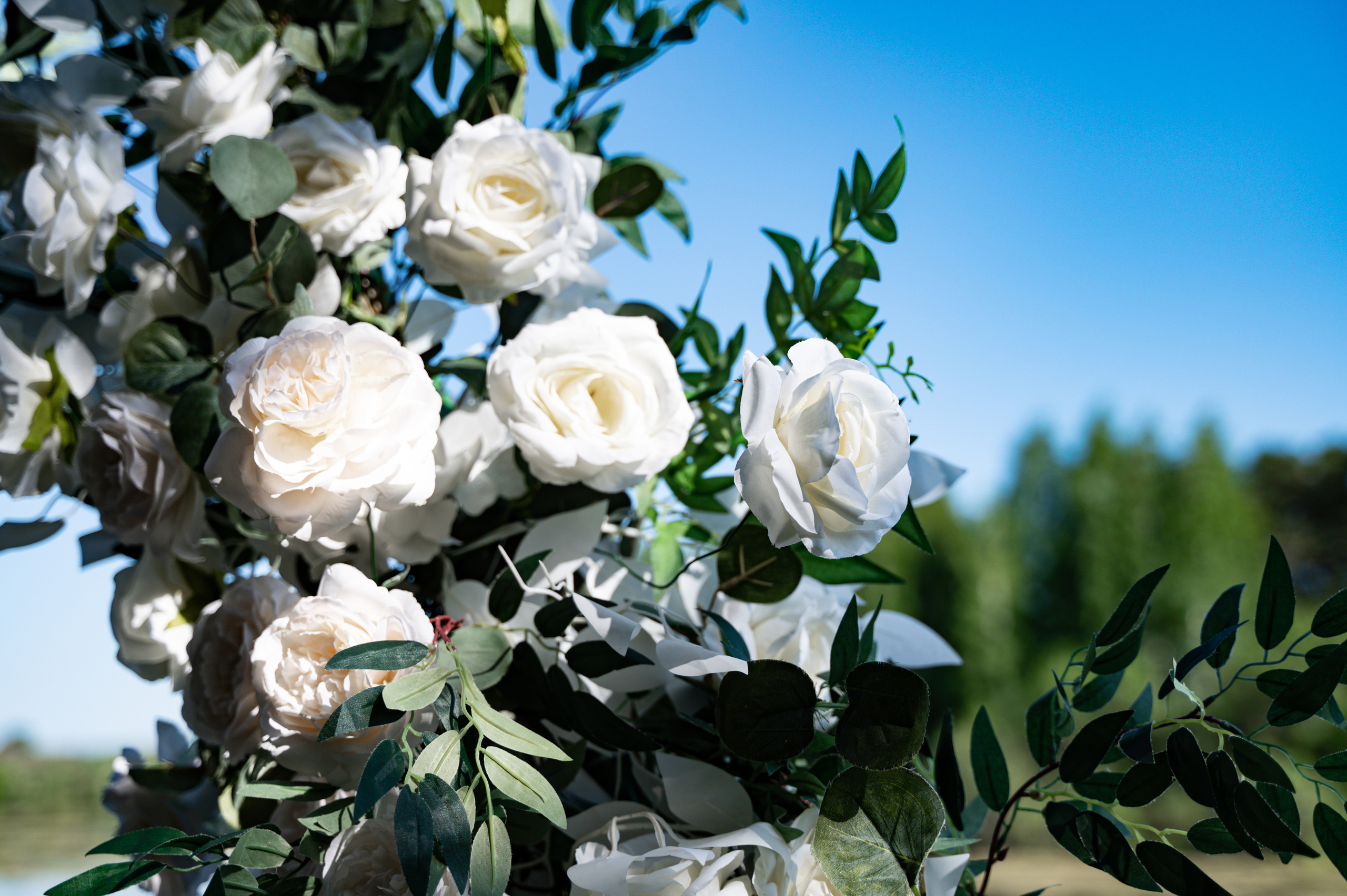 Анастасия & Никита. Свадебный и семейный фотограф Тюмень Екатеринбург Москвина Алёна