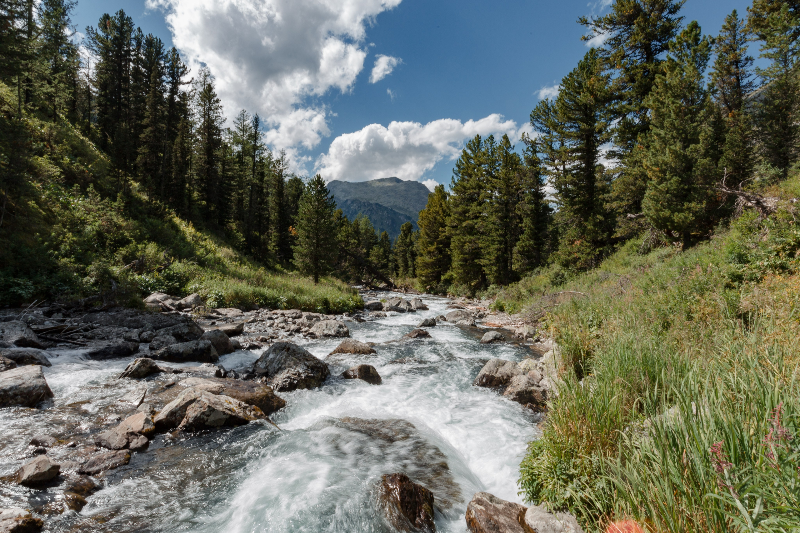 Катунский заповедник, Республика Алтай. Репортажный фотограф в Крыму Ксения Гасица