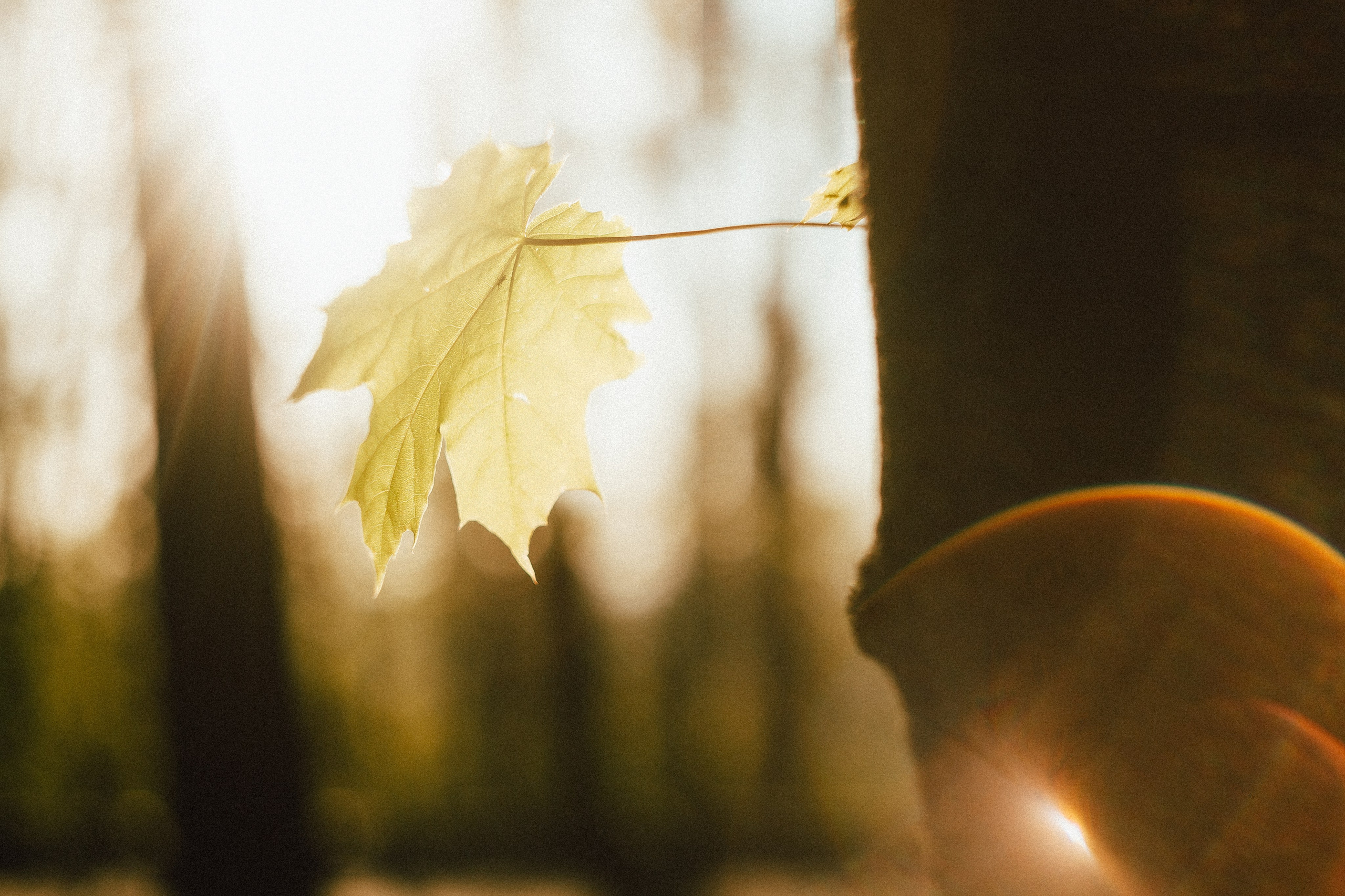 Егор. Леонид Рябов — фотограф в Нижнем Новгороде