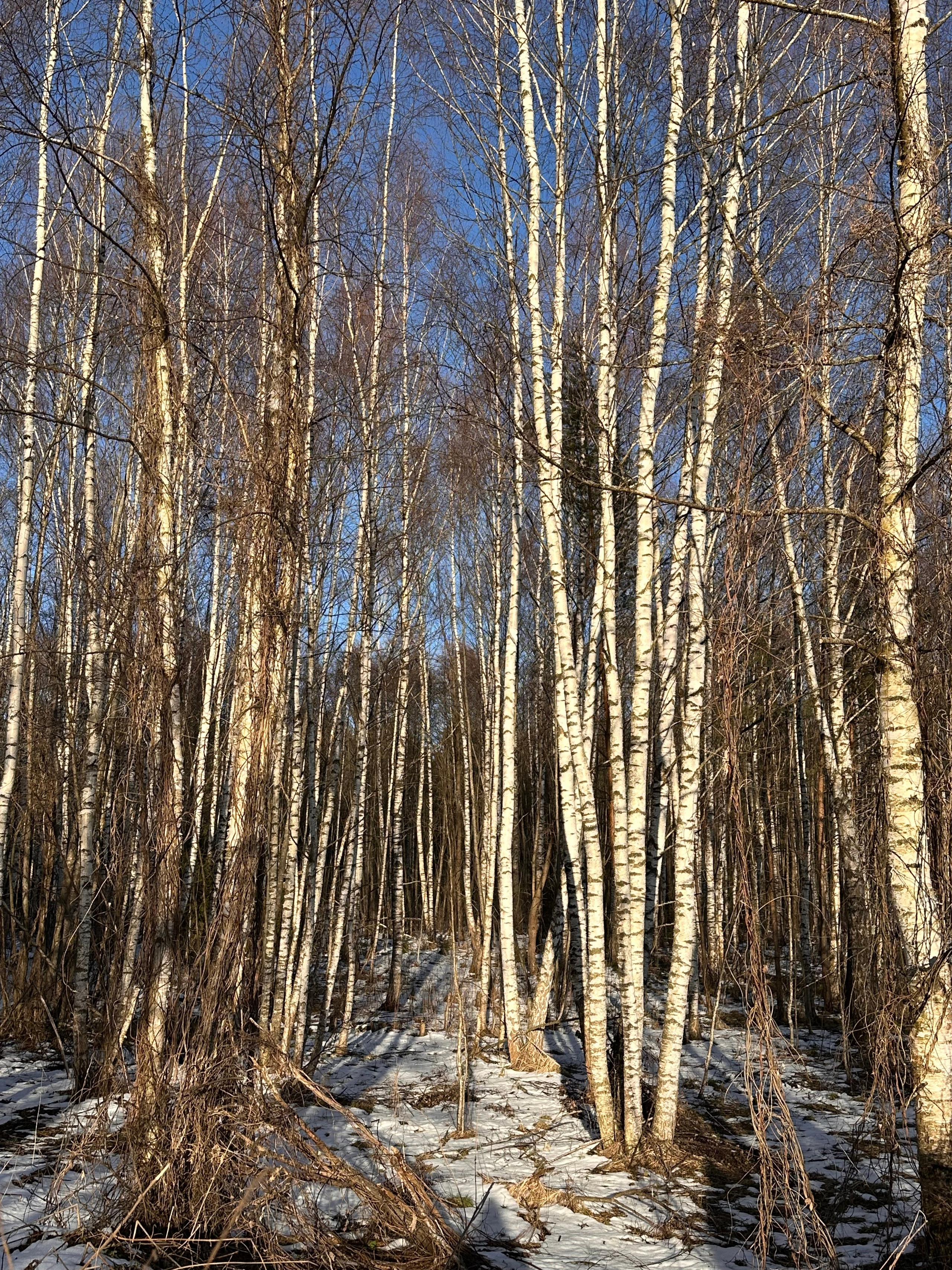 EXHIBITION. Репортажный и интерьерный фотограф, фотохудожник