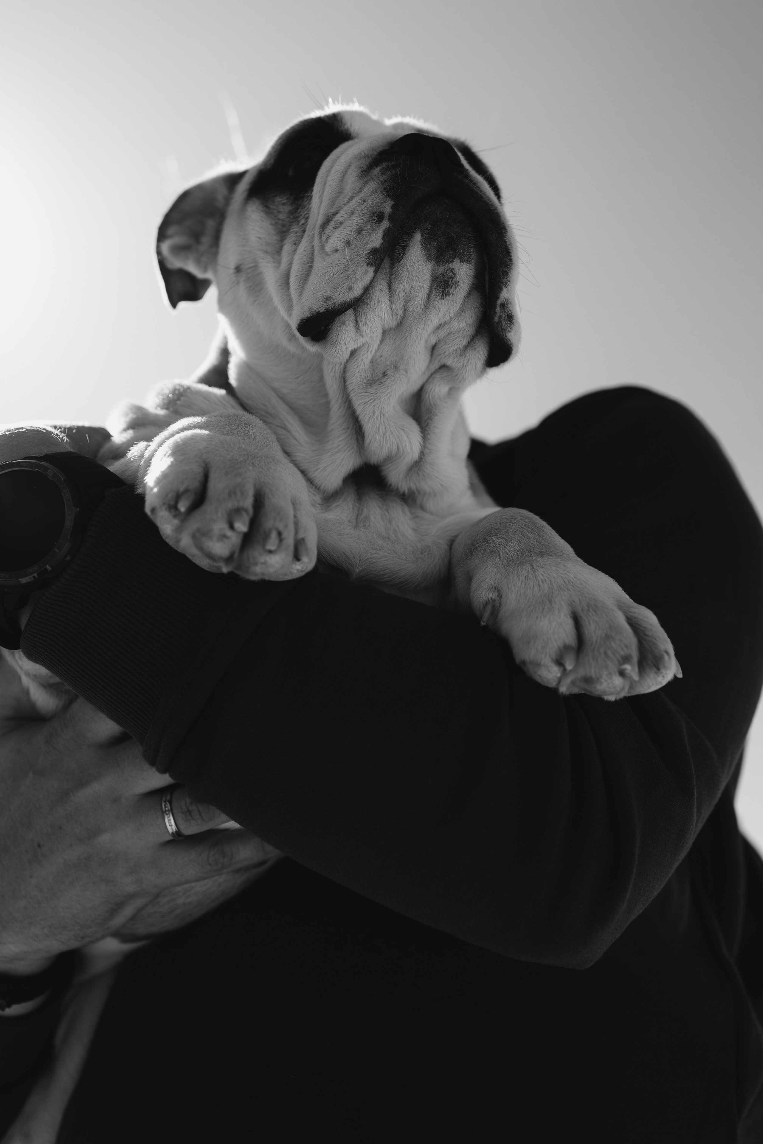 Новый член семьи. Withlovent | Фотограф в Севастополе