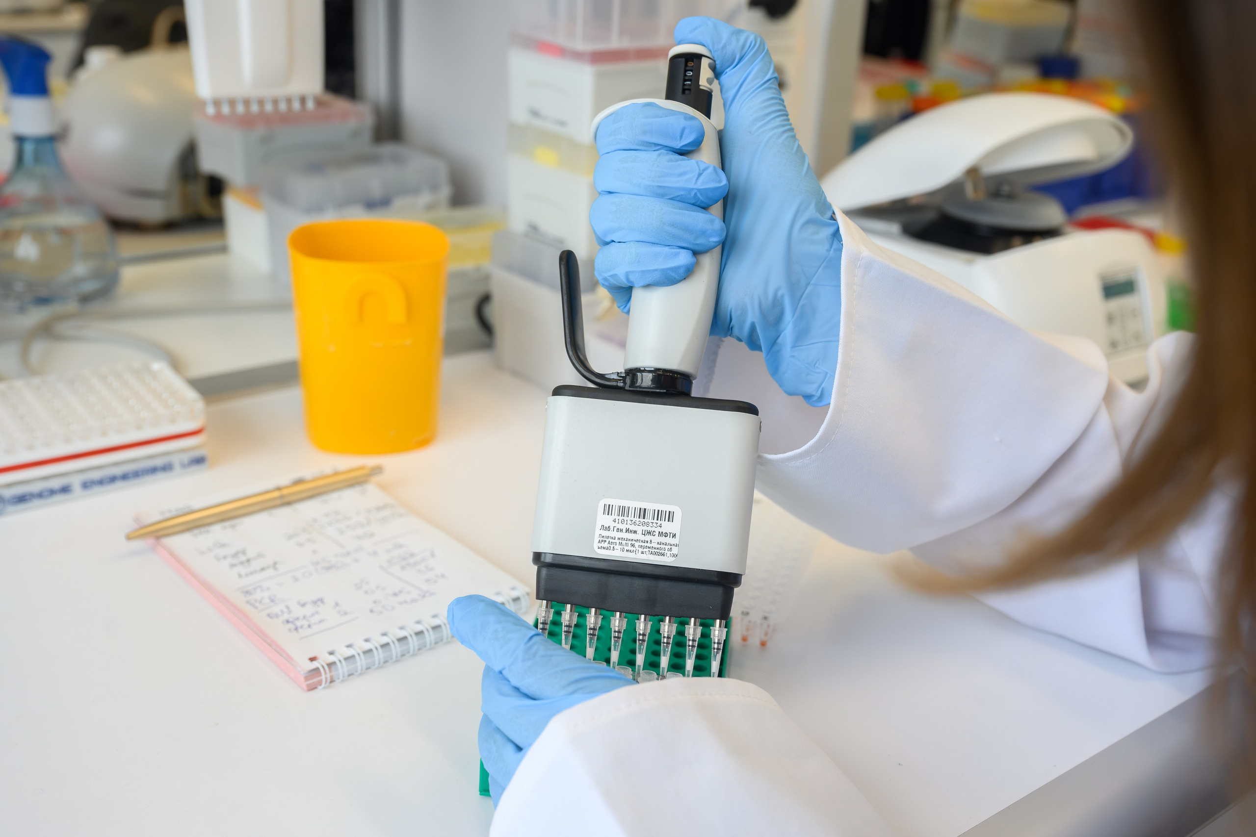 Лаборатории. Арефьева Наталья фотограф в Москве. Студийный фотограф, деловой портрет, репортаж