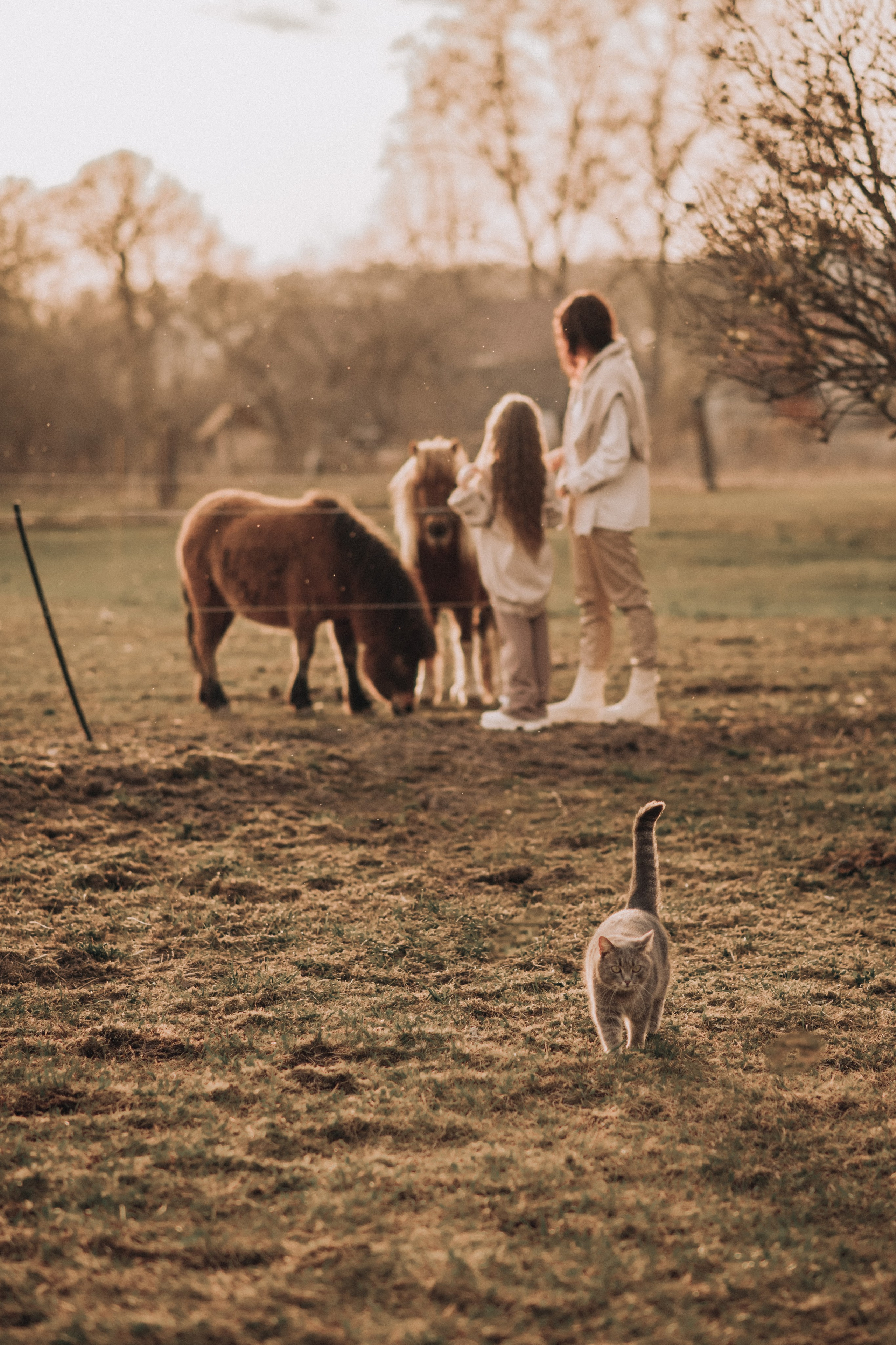 Семейные фотосессии. Фотограф Алиса Чечина. Калуга. Товарково