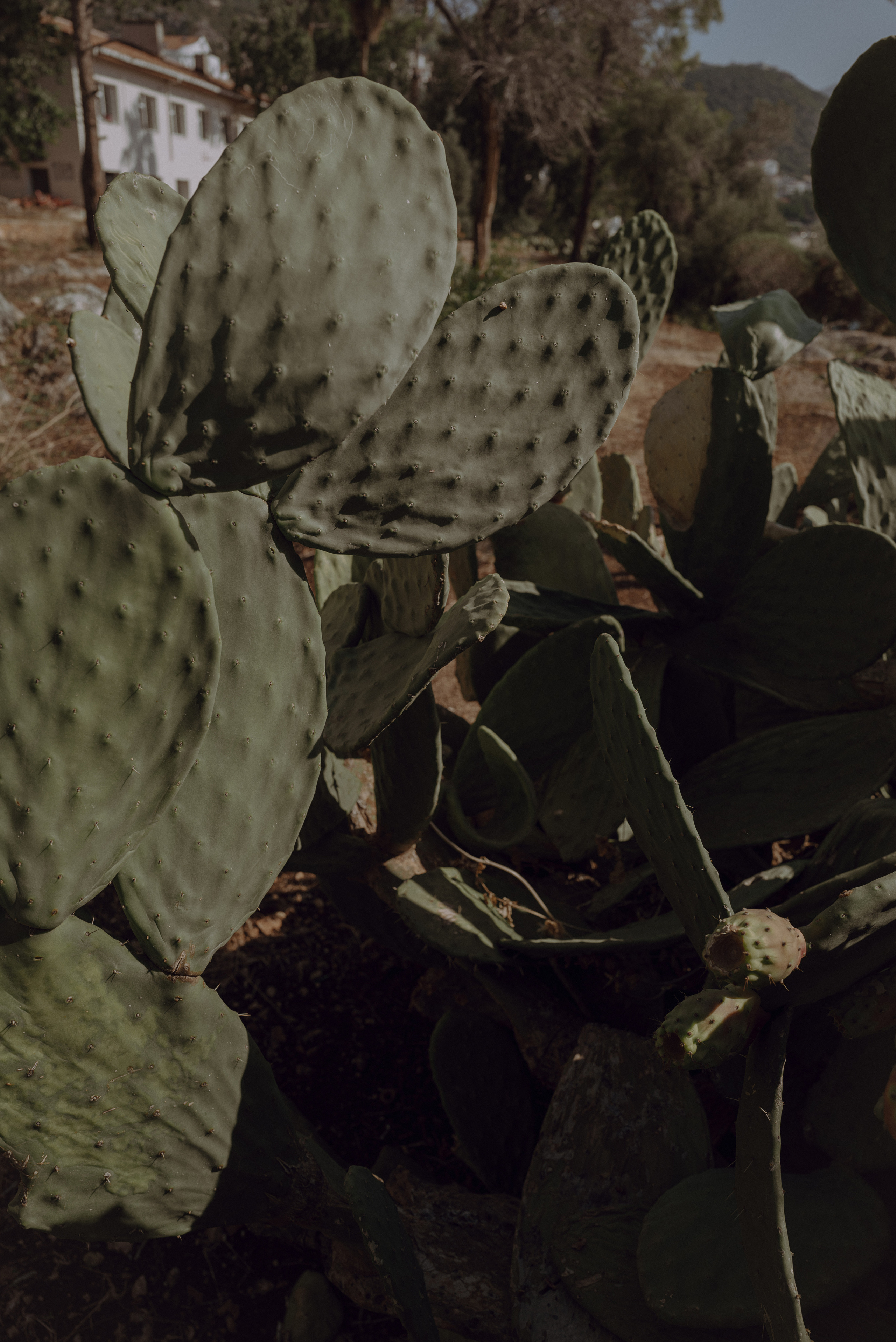 I am Diana, a portrait photographer. I take pictures around the world