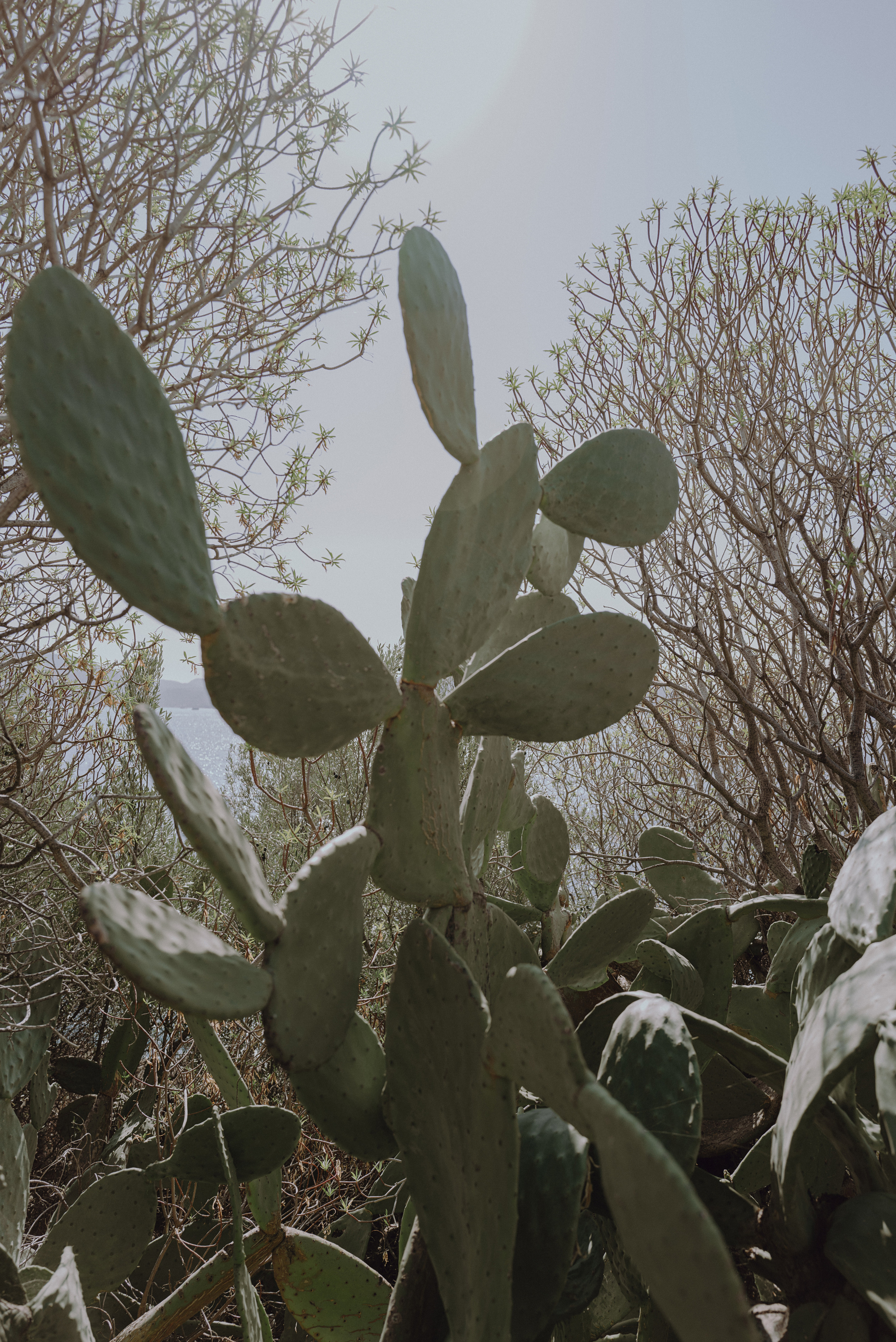 I am Diana, a portrait photographer. I take pictures around the world