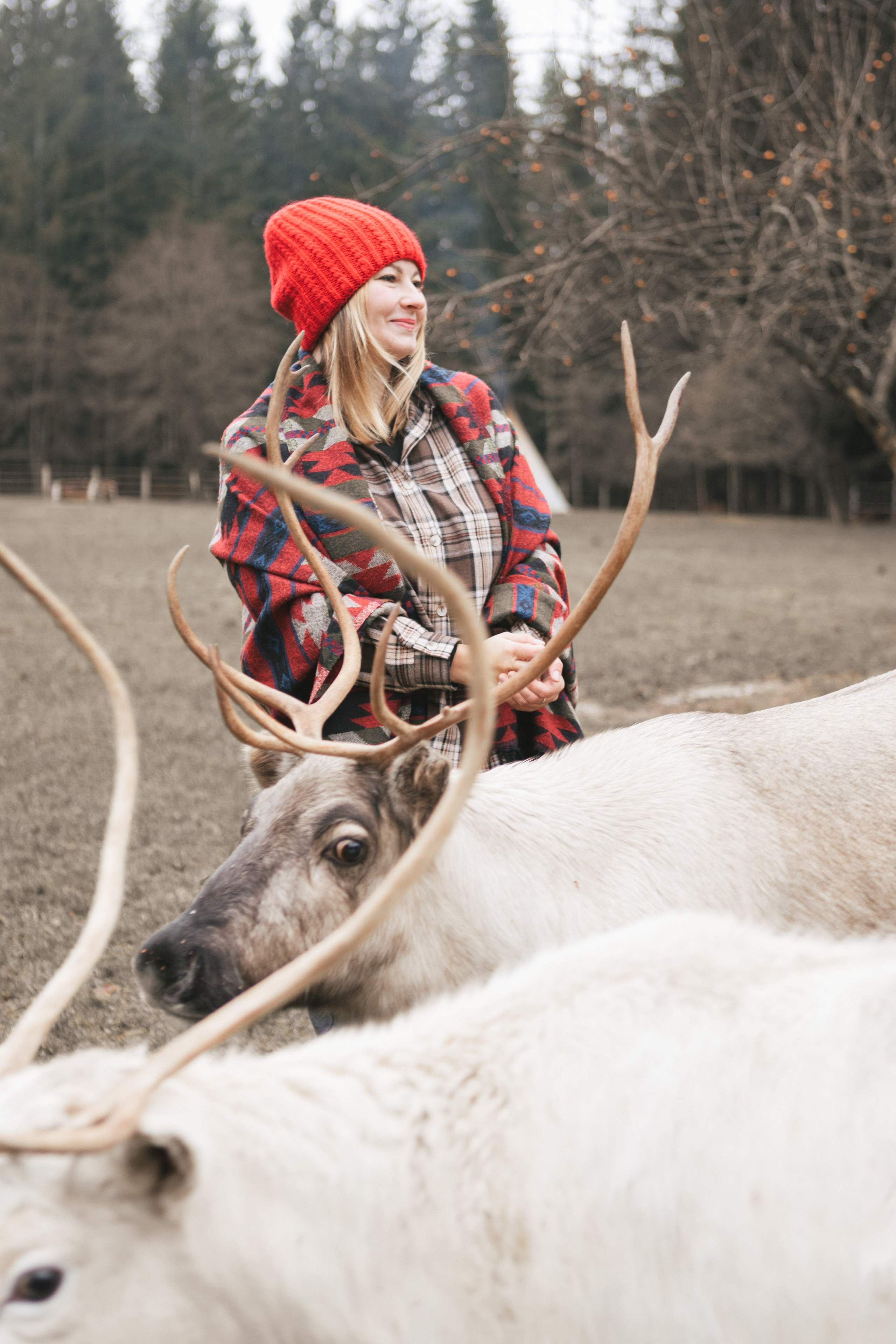 Экспресс с оленями. Свадебный и семейный фотограф Анастасия Багрец