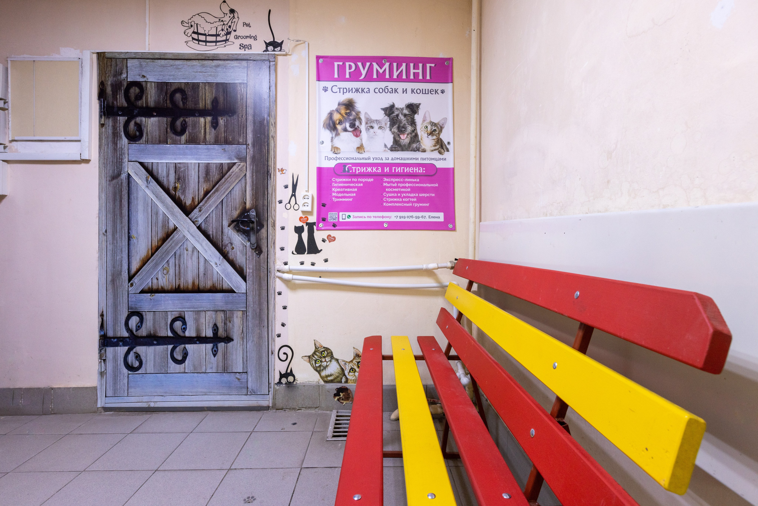 ГРУММИНГ. Фотограф в Туле Крупский АнДРей. Фотостудия «КАДР71» в Туле