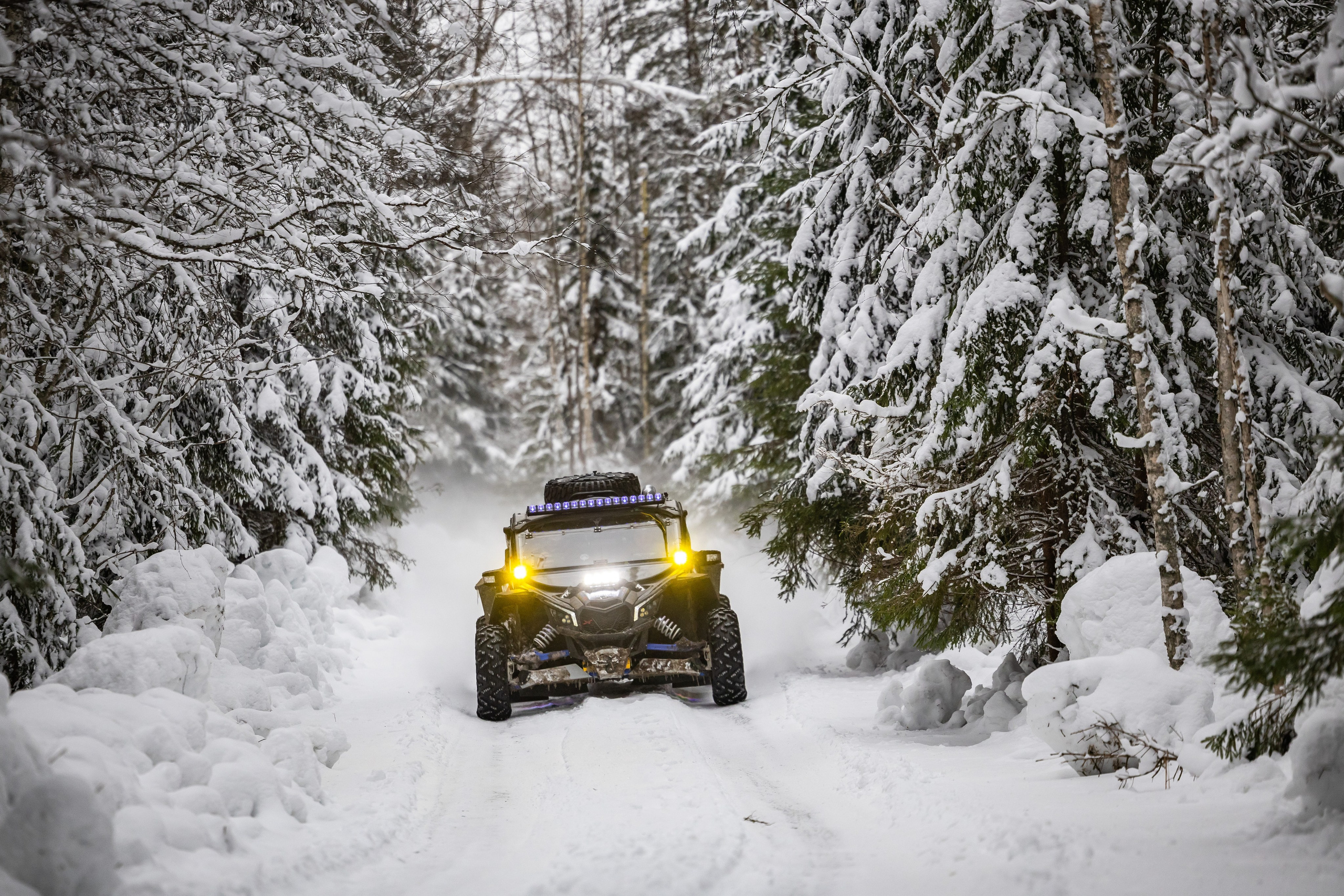 Ралли СеверныйЛес