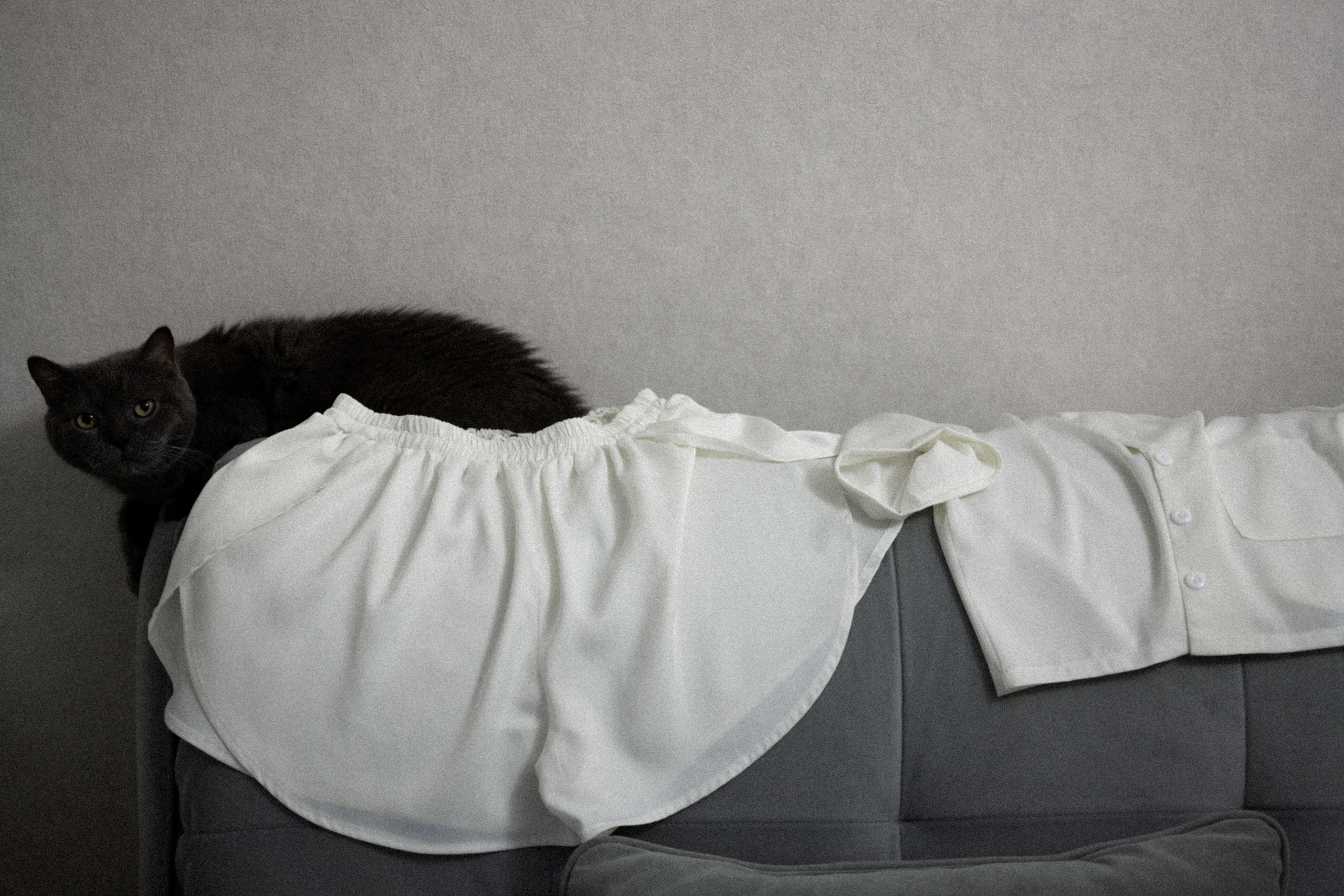 Свадебный фотограф в Волгограде и Краснодаре