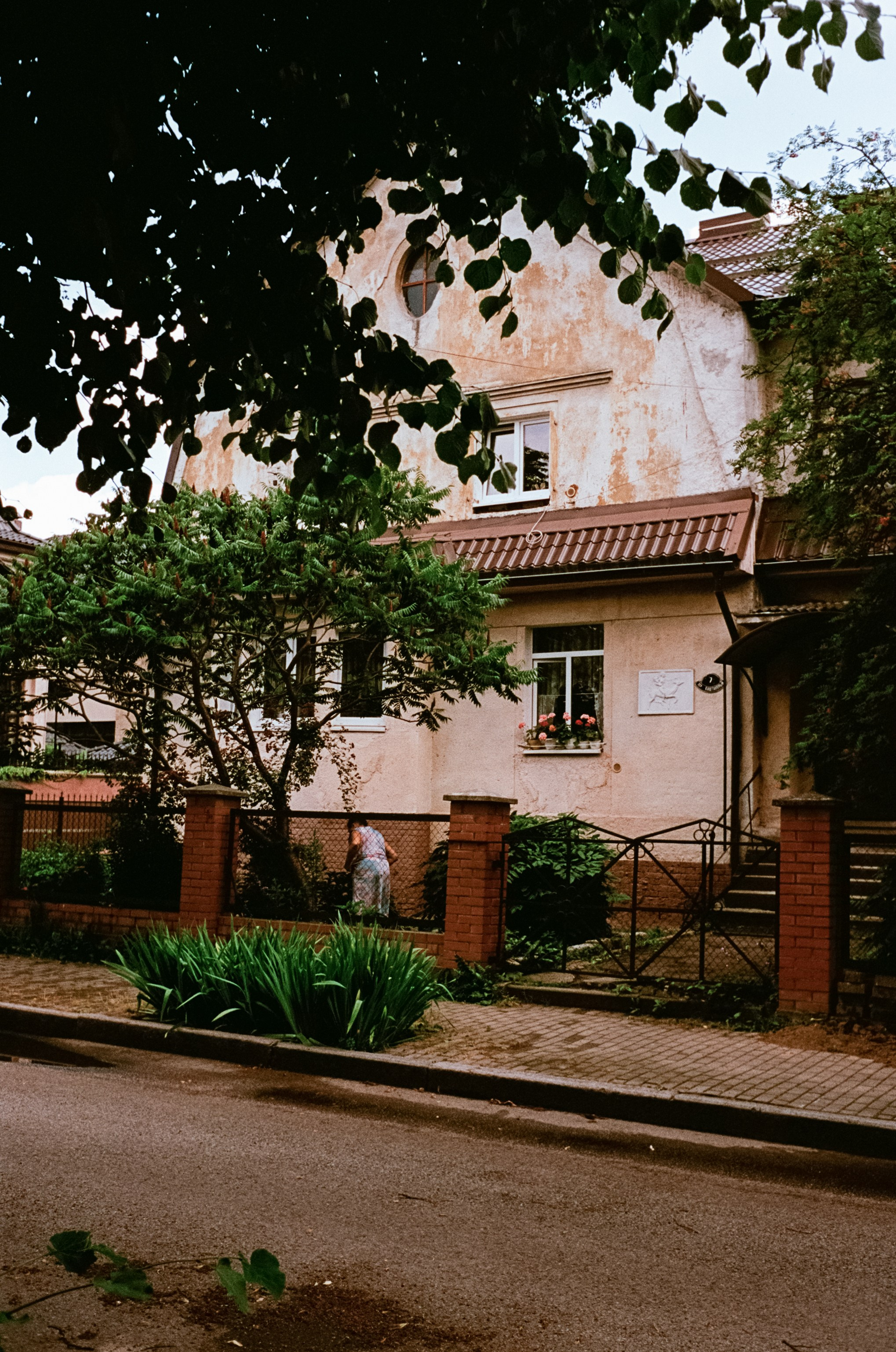 Калининград в солнечный день 7 июля 2024 года / Aerocolor IV / Minox 35GT (2)