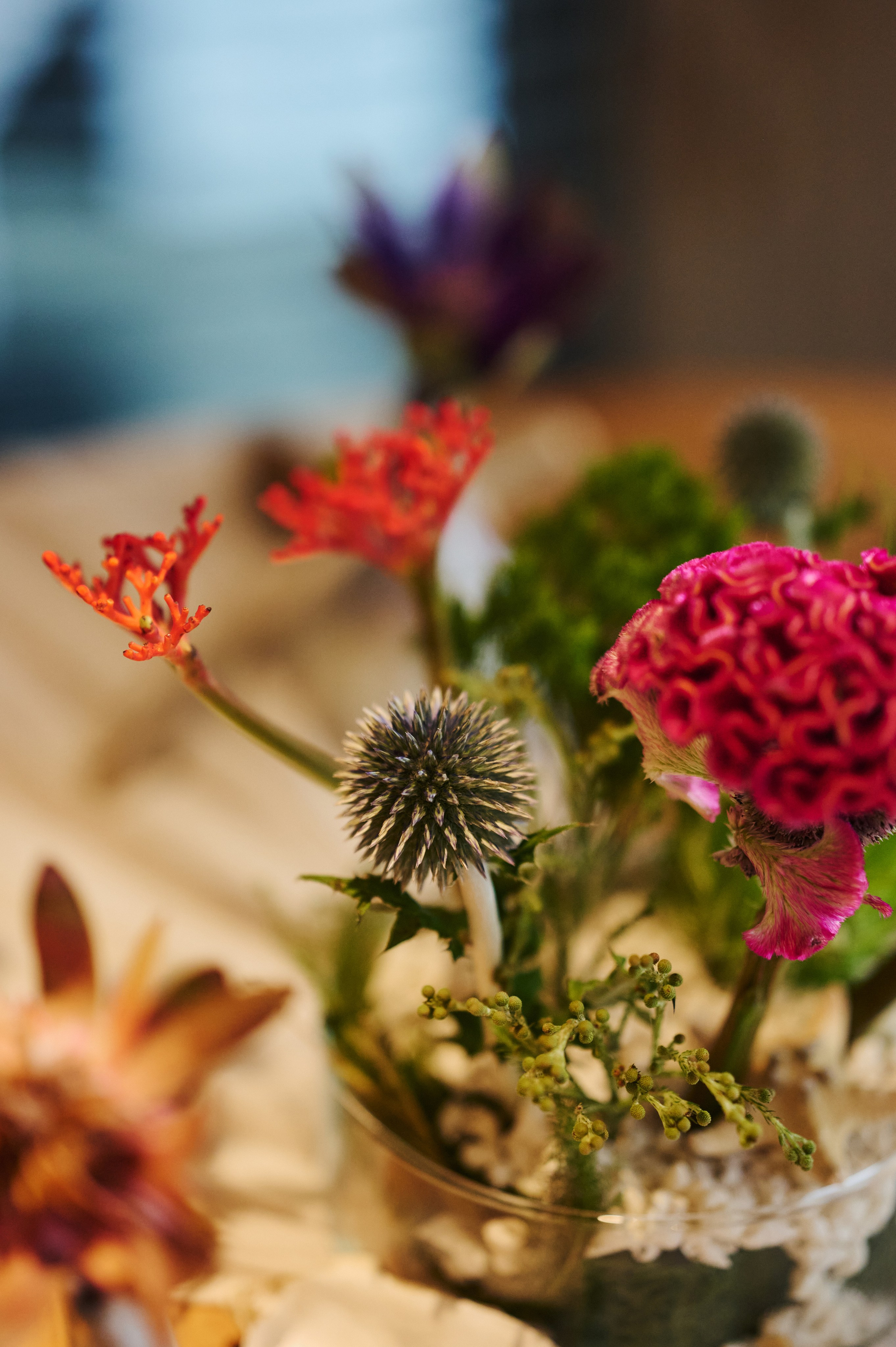 RUSHEV X 0,75please. Фотограф Сергей Бойко Москва