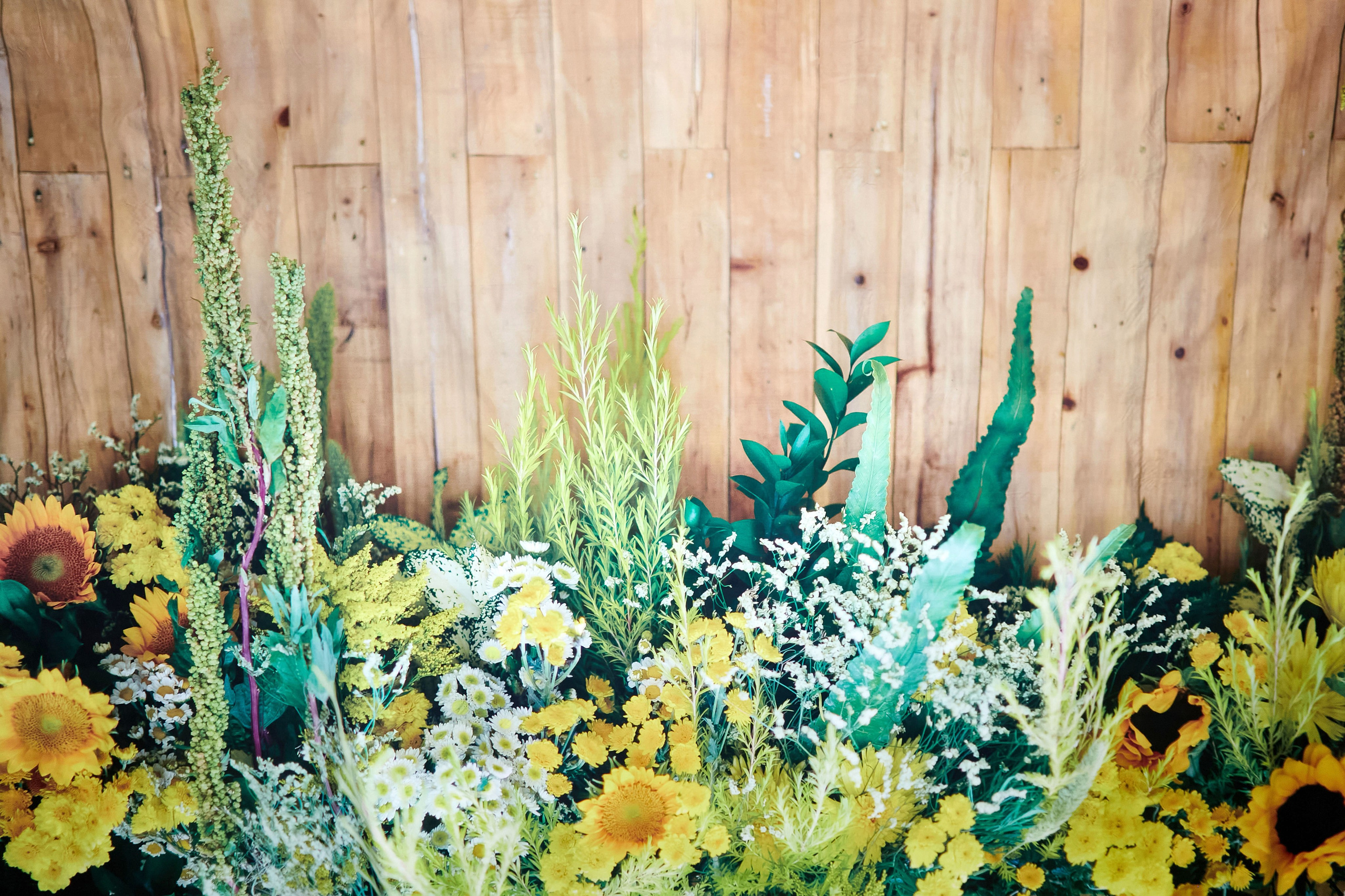 Фон. Фотограф Михаил Коган — Москва 89267284460