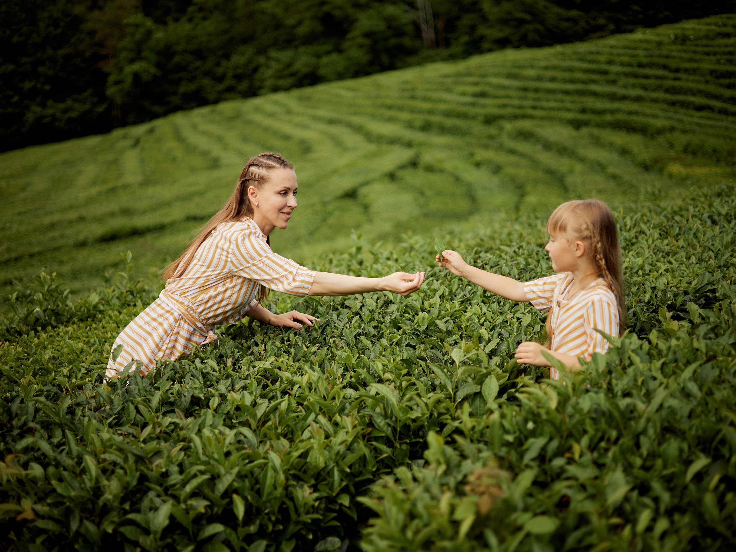 Семейные фотосессии. Фотограф Сочи