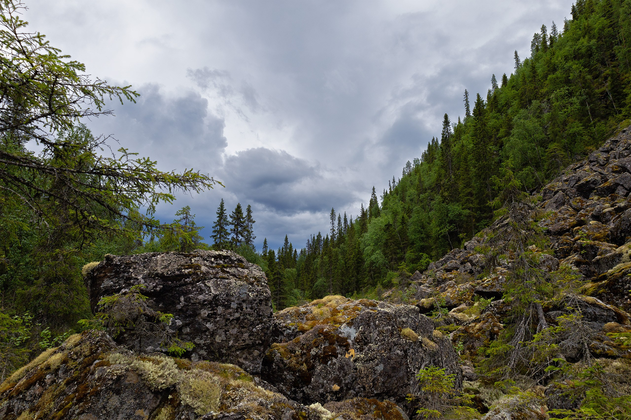 Пейзажи. Сайт фотографа Елены Михайловой. Фотосессии на пленэре в Сестрорецке