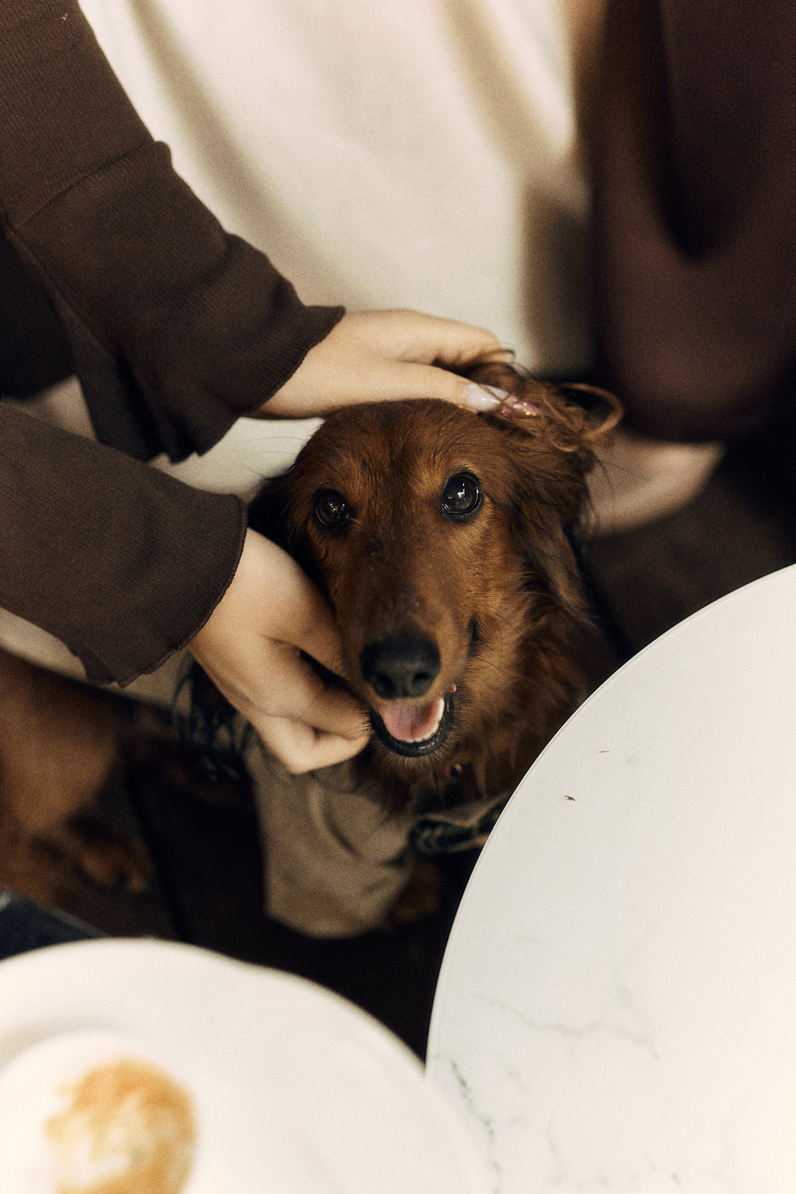 Анастасия и Влад. Свадебный и семейный фотограф в Иваново и Москве Мильков Вадим