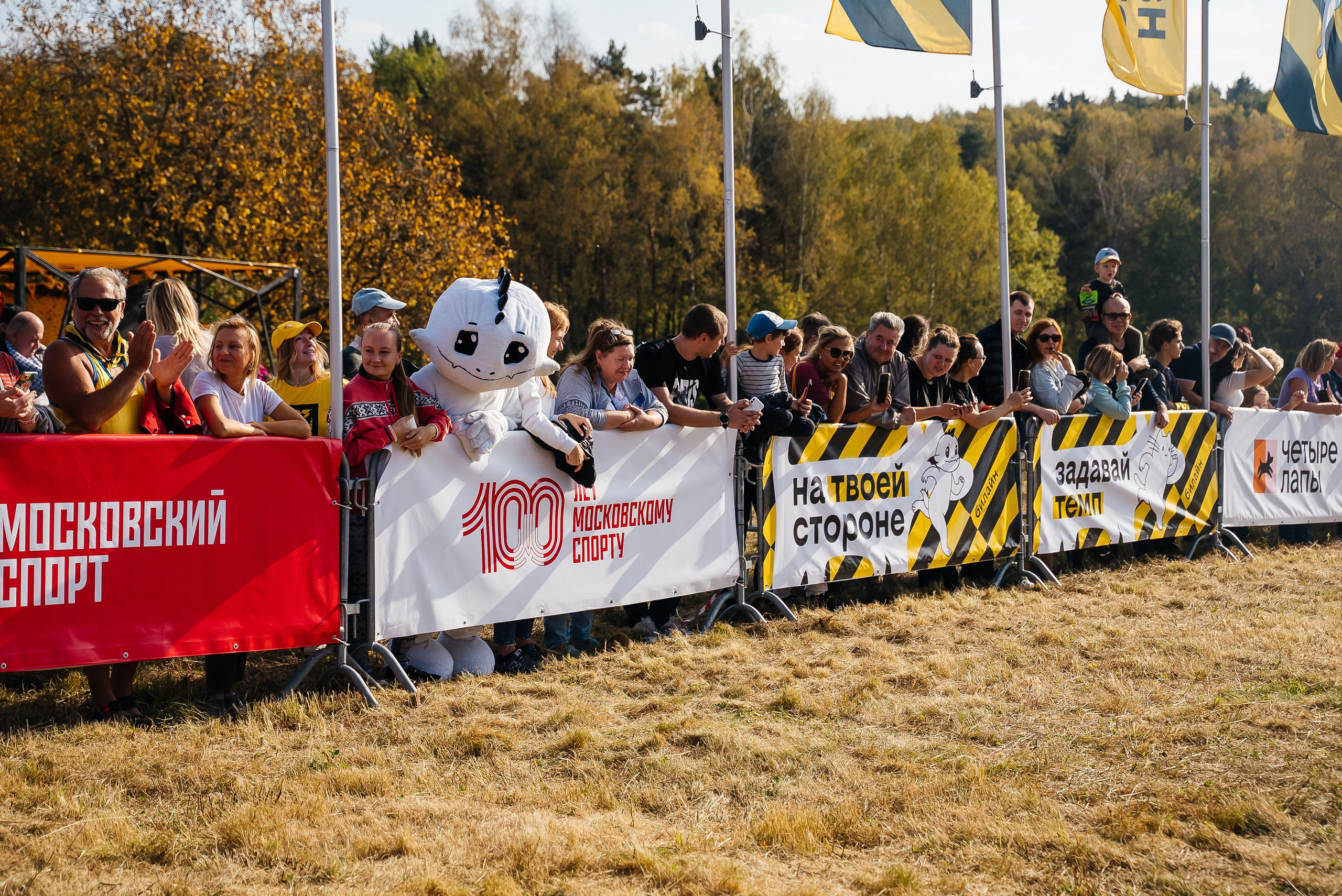 Билайн. Павел Краснов — Свадебный и репортажный фотограф в Москве