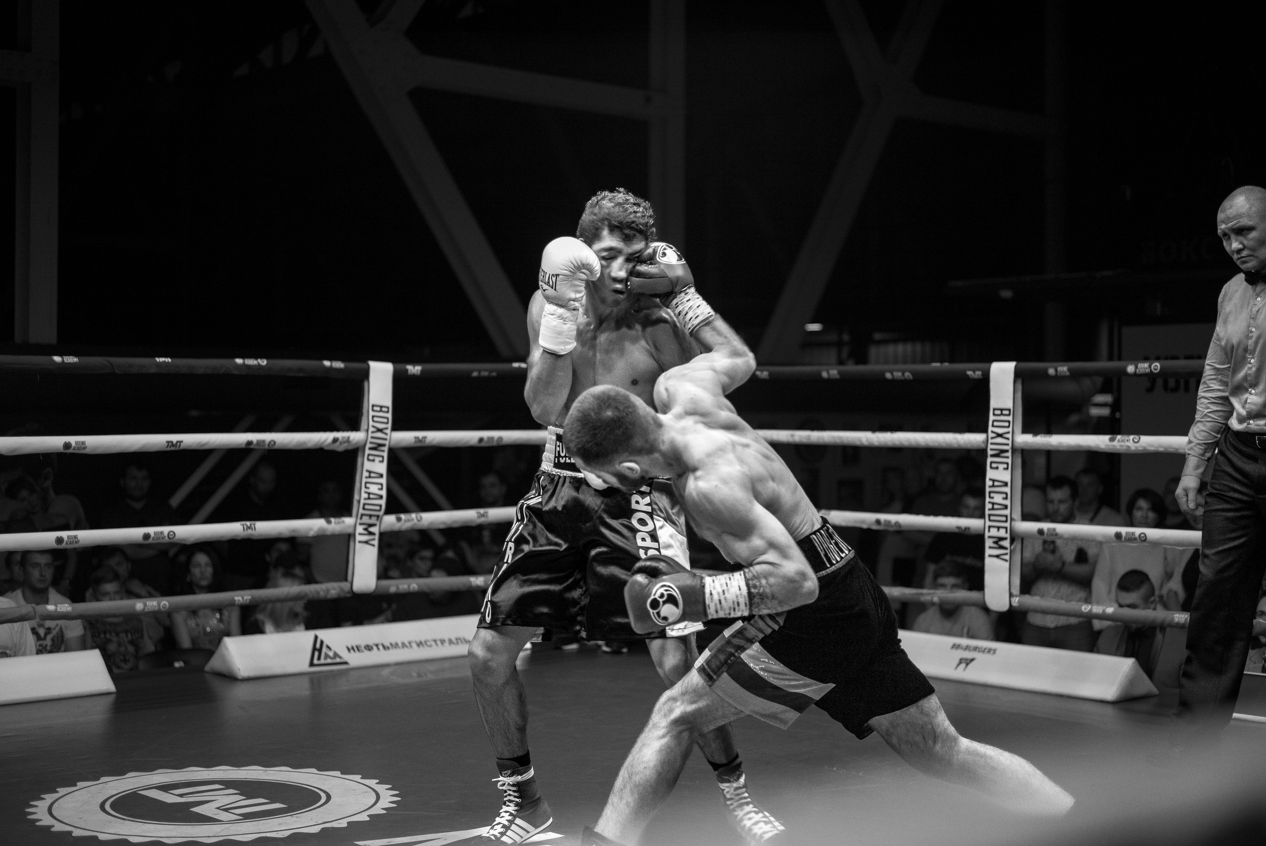 Boxing book. Главная