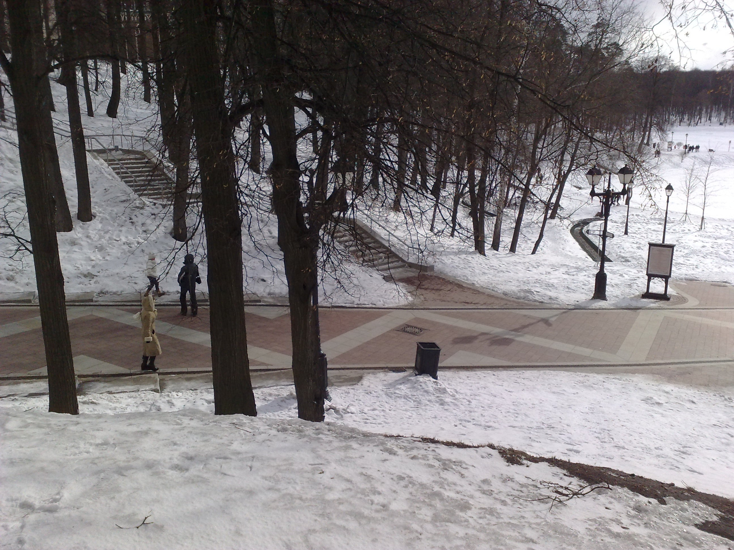 Царицино музей-усадьба. Питомник китайских хохлатых собак Poale Ell: купить щенка в питомнике